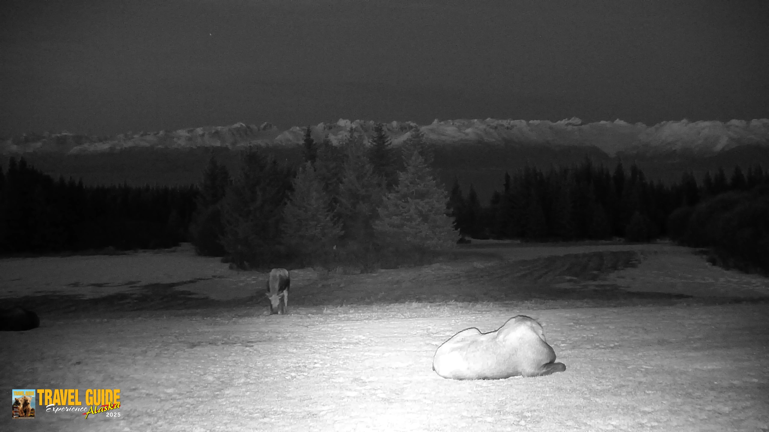 Snapshot of Inspiration Ridge - Homer Alaska Live Webcam taken Apr 14, 2026, 10:35pm AKDT