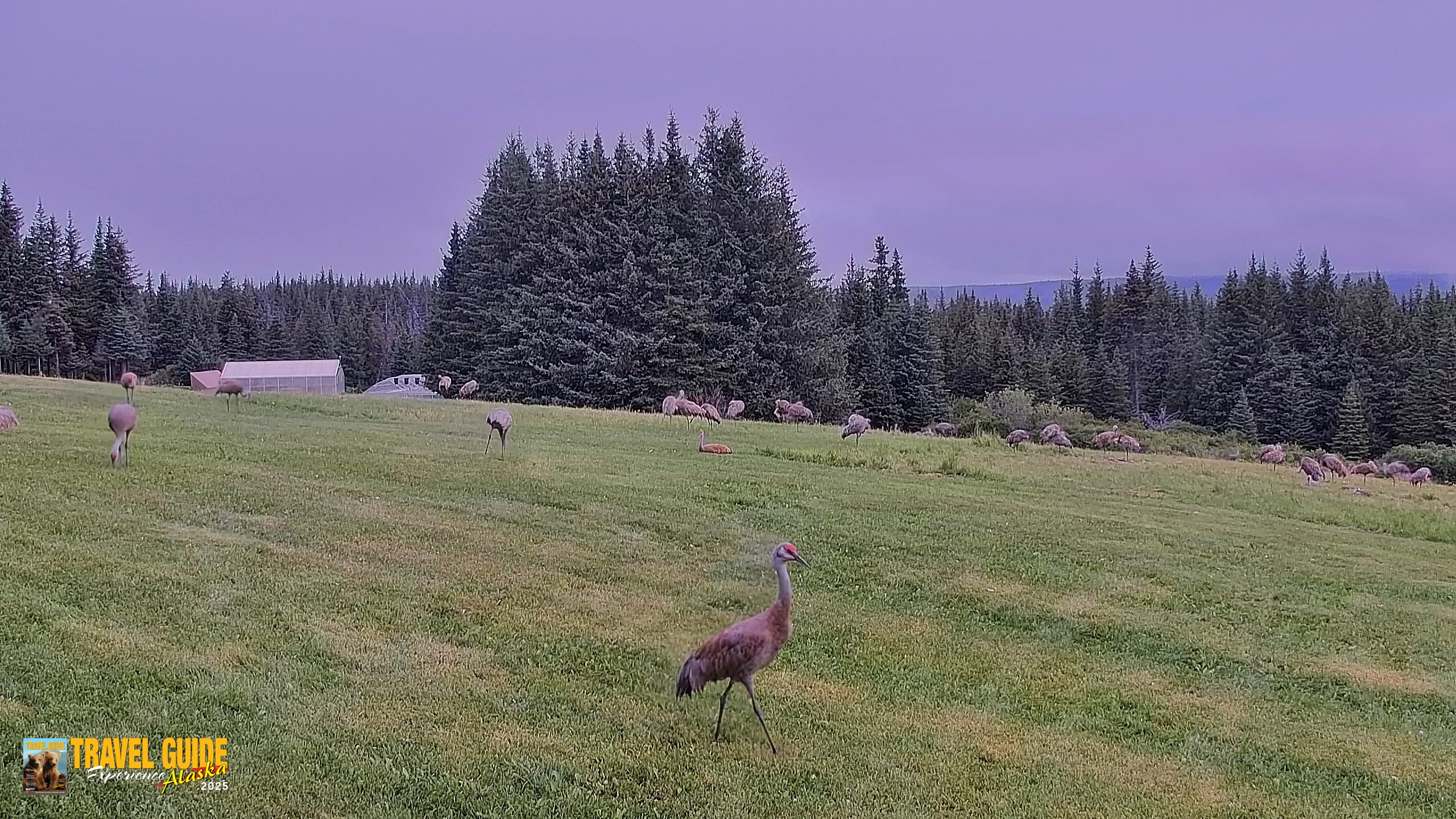 Snapshot of Inspiration Ridge - Homer Alaska Live Webcam taken Aug 21, 2026, 10:29am AKDT