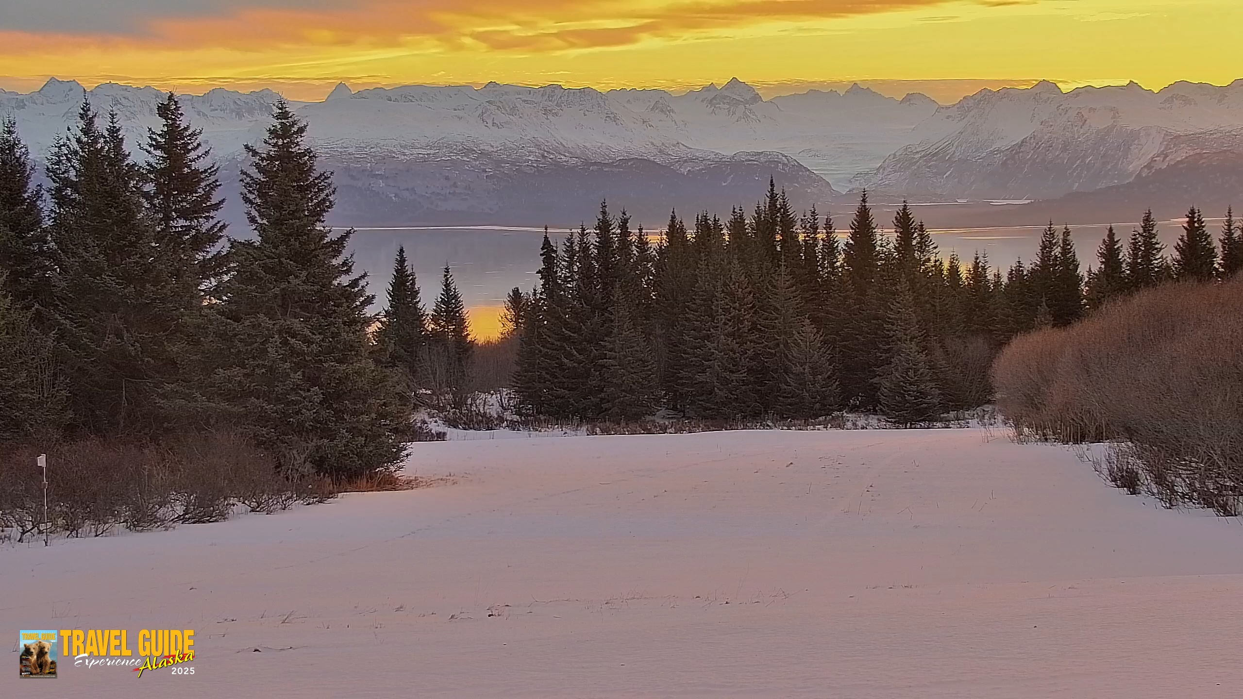 Snapshot of Inspiration Ridge - Homer Alaska Live Webcam taken Jan 18, 2026, 11:41am AKST