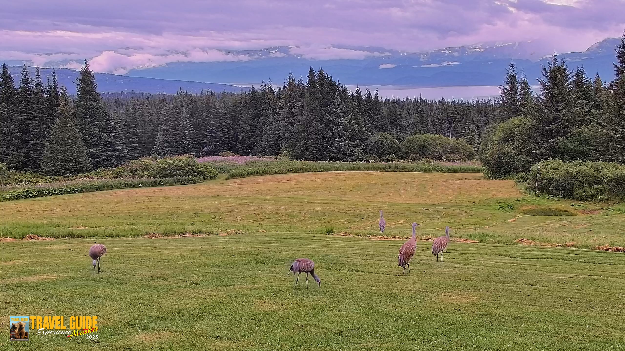Snapshot of Inspiration Ridge - Homer Alaska Live Webcam taken Aug 19, 2026, 7:04pm AKDT