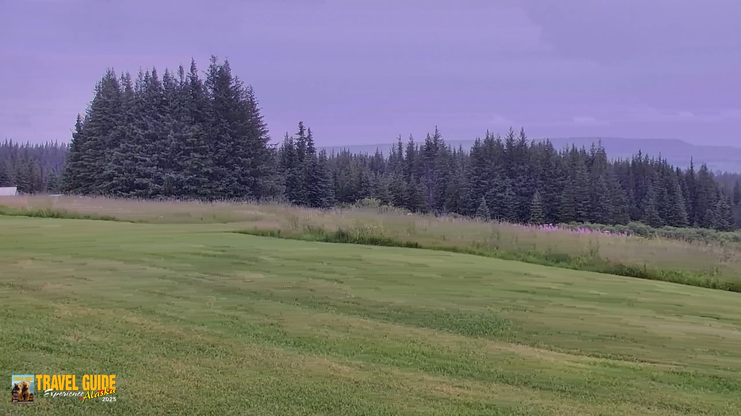 Snapshot of Inspiration Ridge - Homer Alaska Live Webcam taken Aug 5, 2026, 1:37pm AKDT