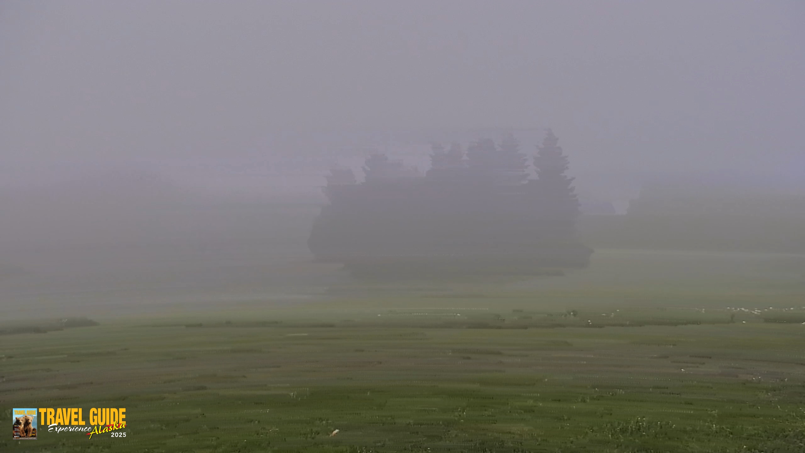Snapshot of Inspiration Ridge - Homer Alaska Live Webcam taken Jul 3, 2026, 6:00am AKDT