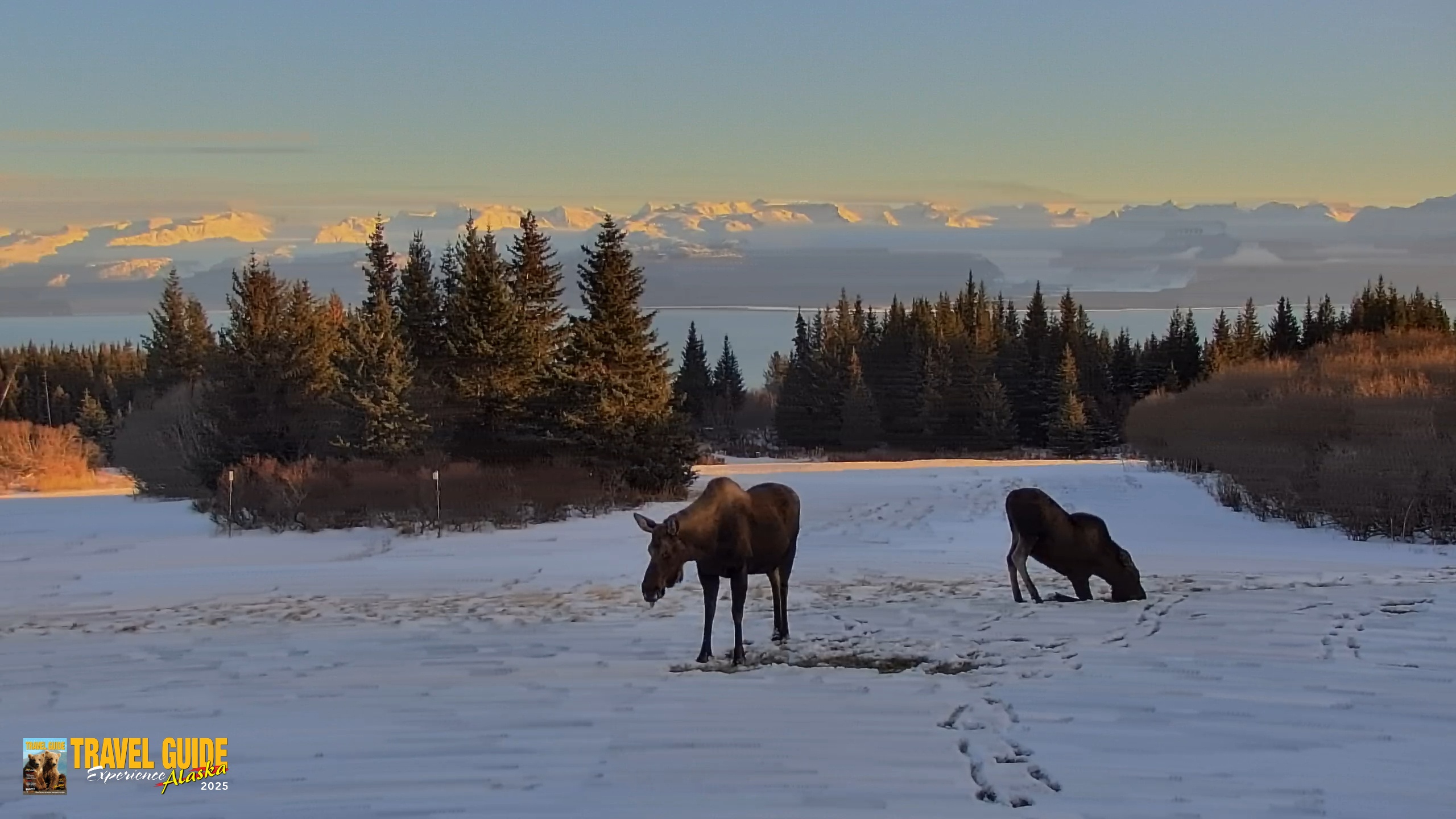 Snapshot of Inspiration Ridge - Homer Alaska Live Webcam taken Dec 30, 2025, 4:30pm AKST