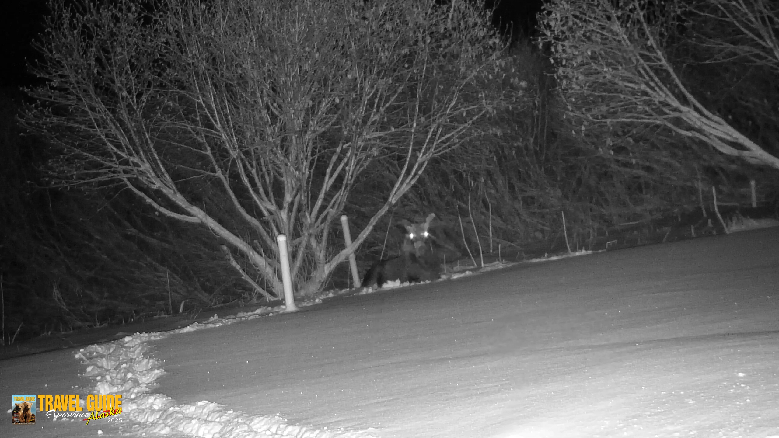 Snapshot of Inspiration Ridge - Homer Alaska Live Webcam taken Jan 6, 2026, 1:57am AKST