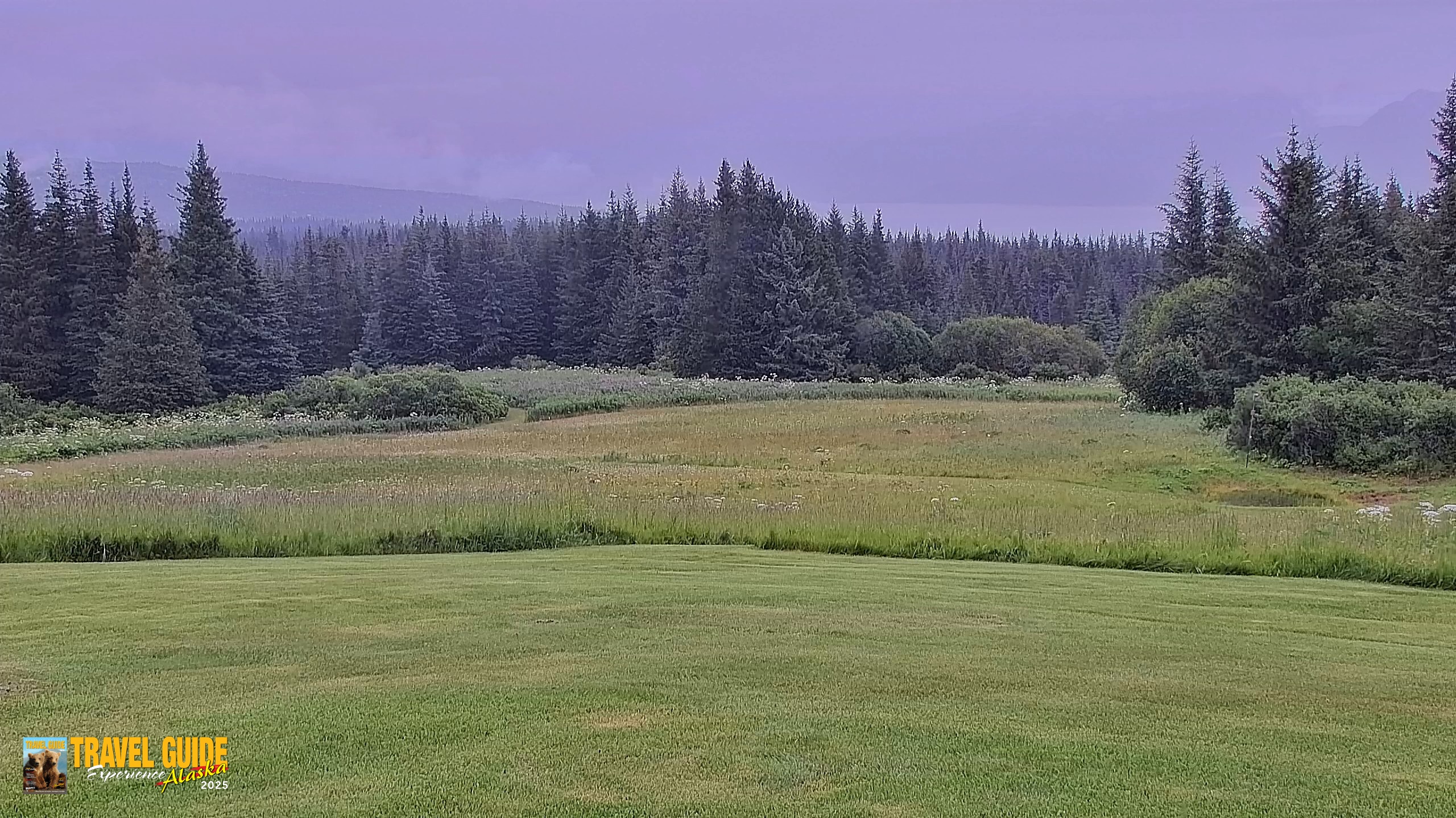 Snapshot of Inspiration Ridge - Homer Alaska Live Webcam taken Aug 5, 2026, 1:38pm AKDT