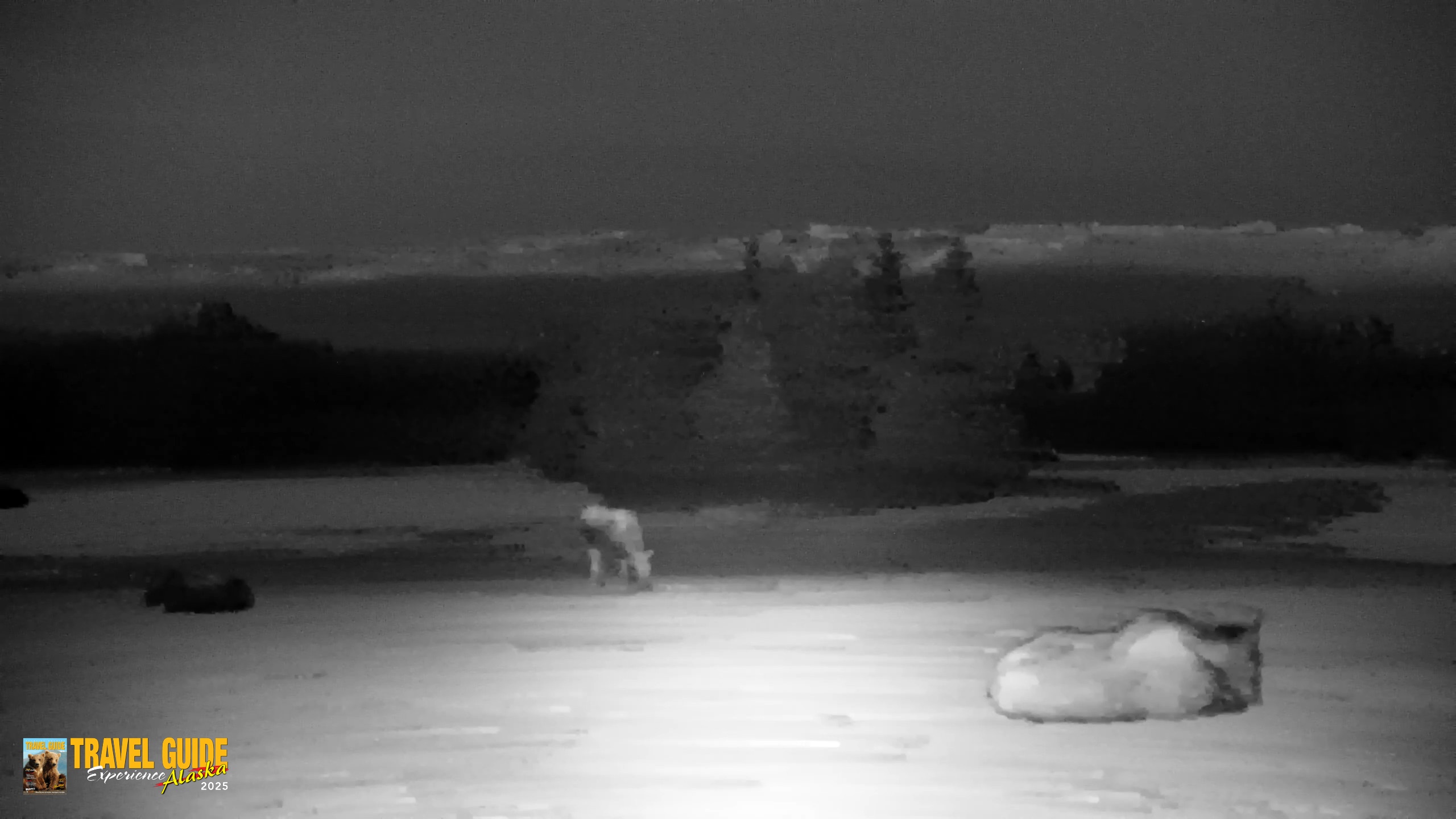 Snapshot of Inspiration Ridge - Homer Alaska Live Webcam taken Apr 14, 2026, 10:34pm AKDT
