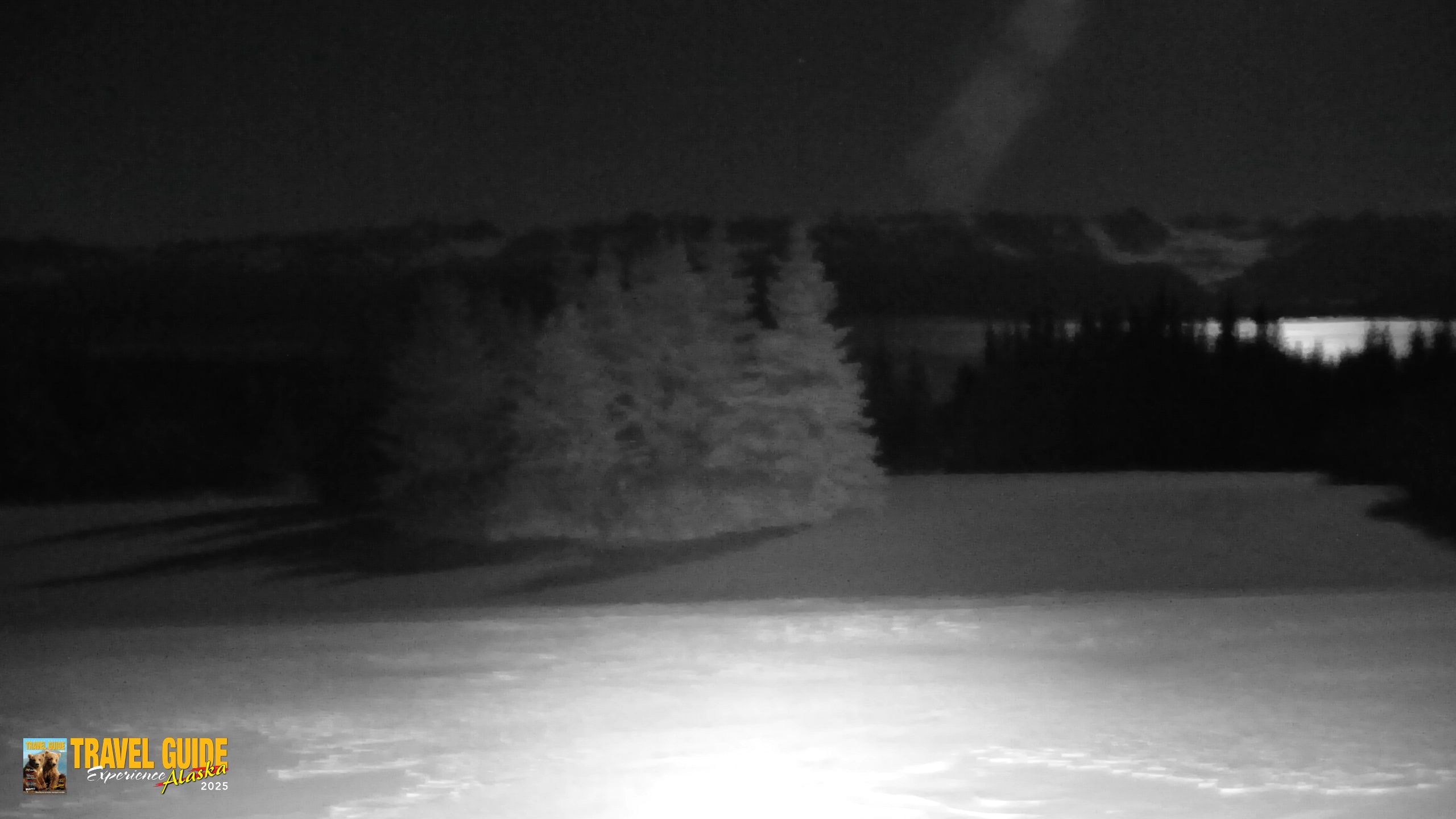 Snapshot of Inspiration Ridge - Homer Alaska Live Webcam taken Jan 8, 2026, 1:49am AKST