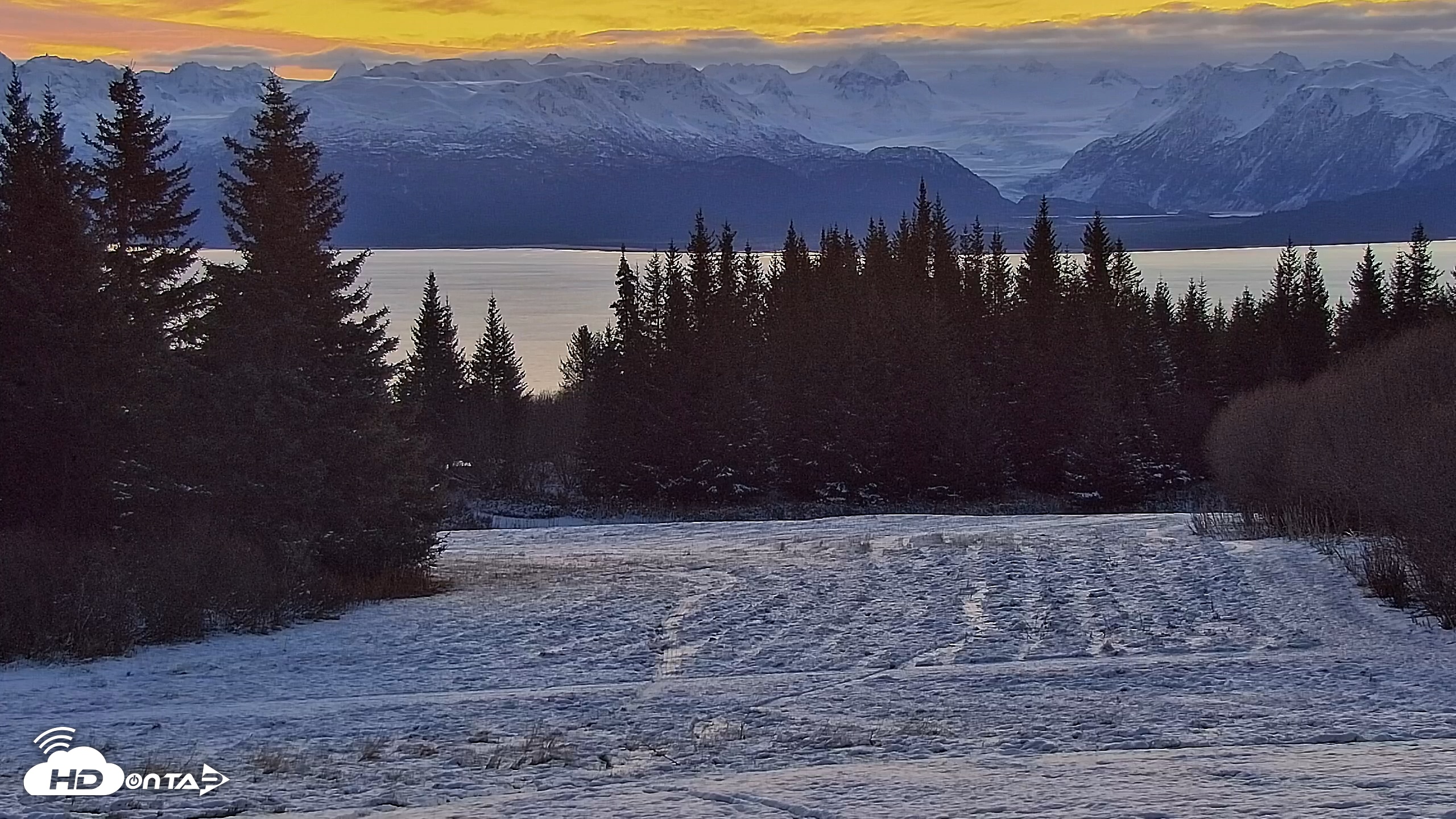 Snapshot of Inspiration Ridge - Homer Alaska Live Webcam taken Nov 12, 2025, 8:15am AKST