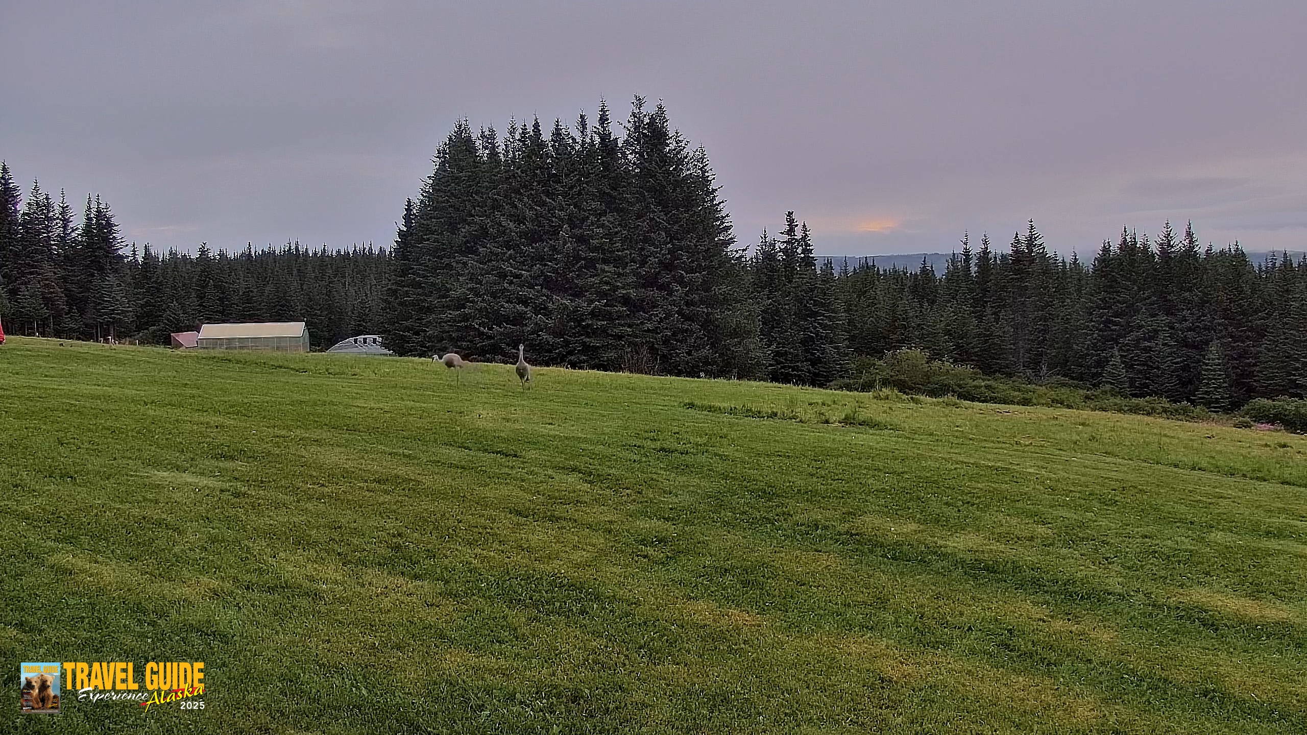 Snapshot of Inspiration Ridge - Homer Alaska Live Webcam taken Aug 21, 2026, 6:35am AKDT