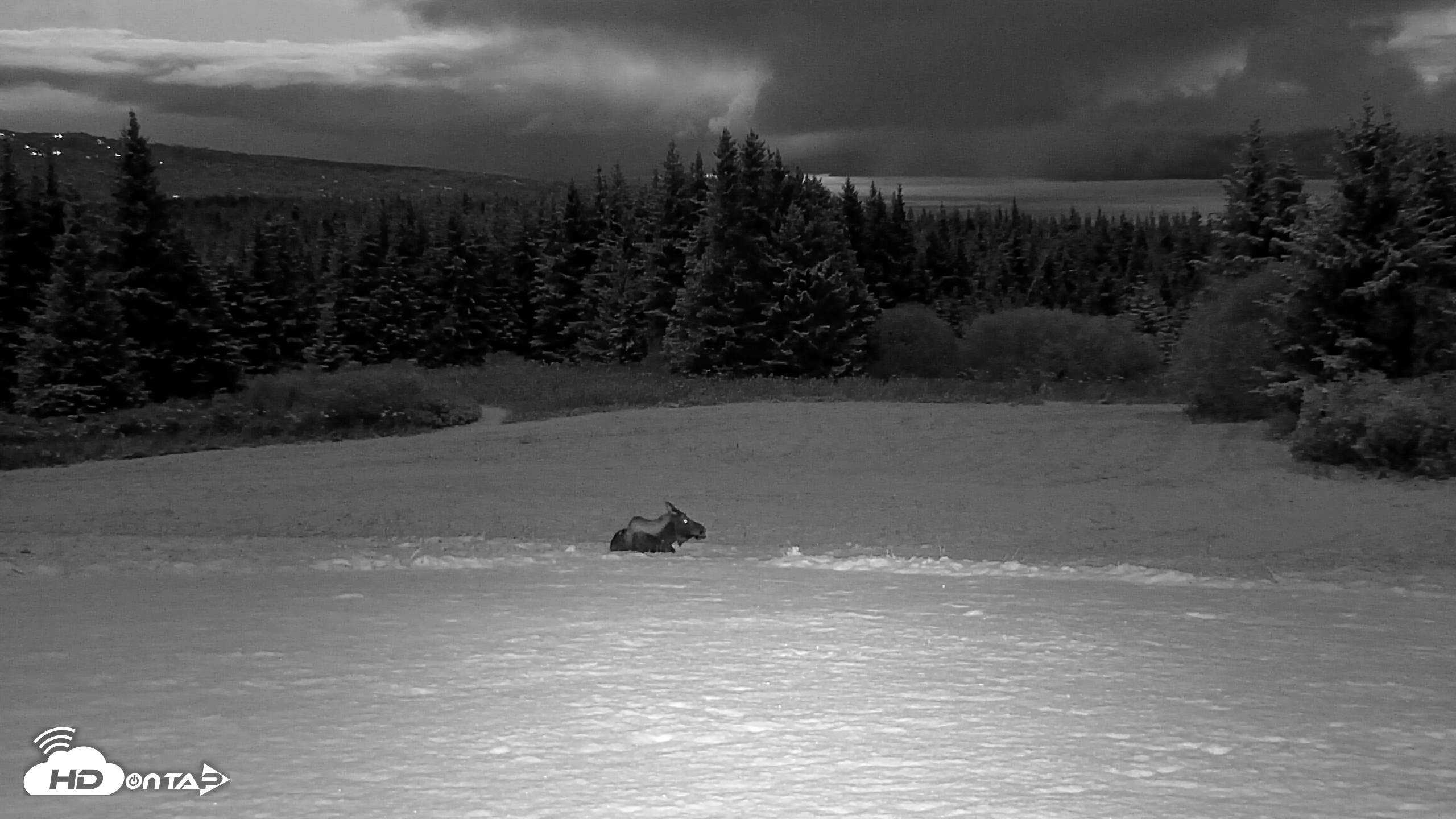 Snapshot of Inspiration Ridge - Homer Alaska Live Webcam taken Nov 4, 2025, 6:03pm AKST