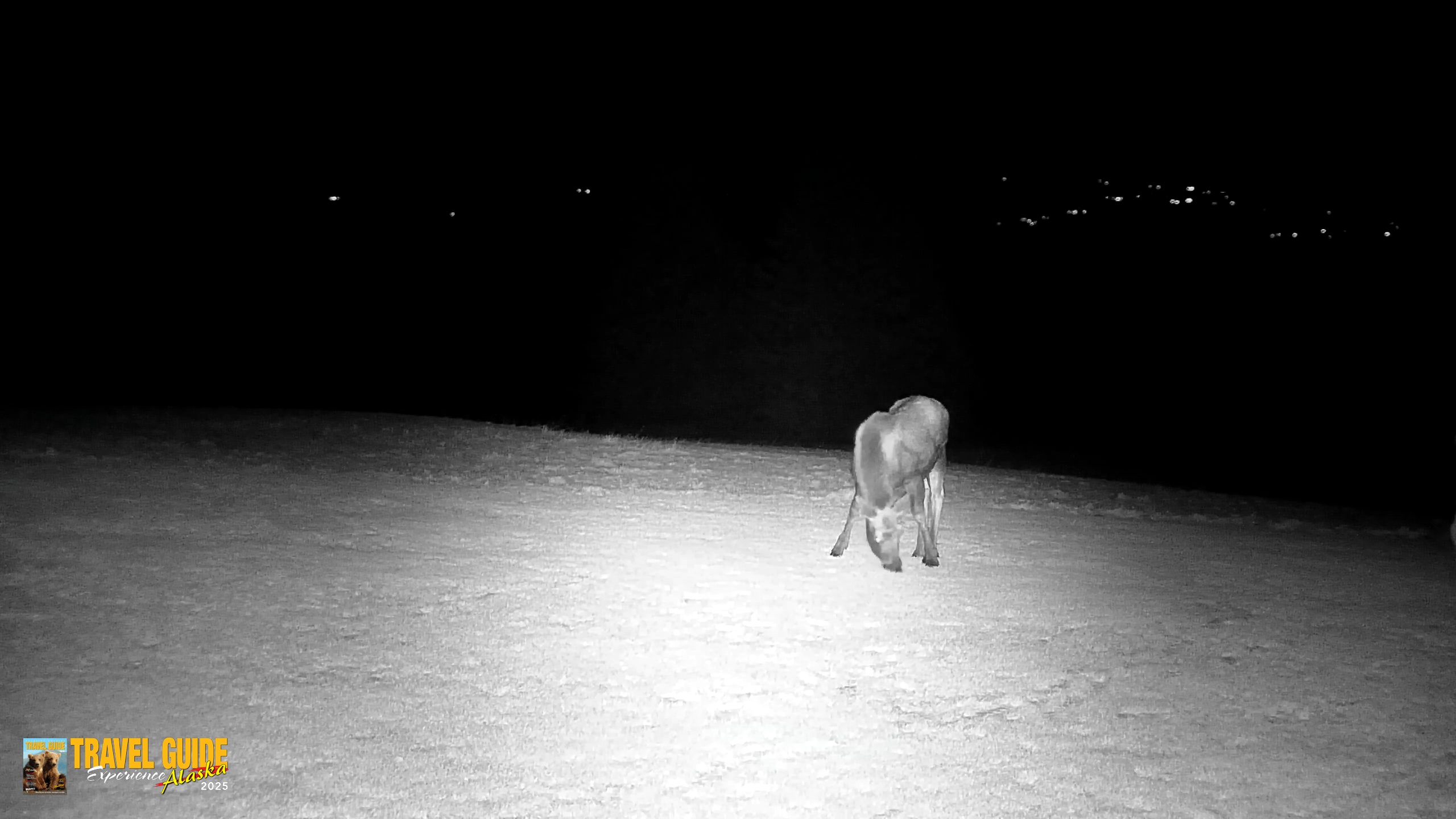 Snapshot of Inspiration Ridge - Homer Alaska Live Webcam taken Dec 25, 2025, 7:21pm AKST