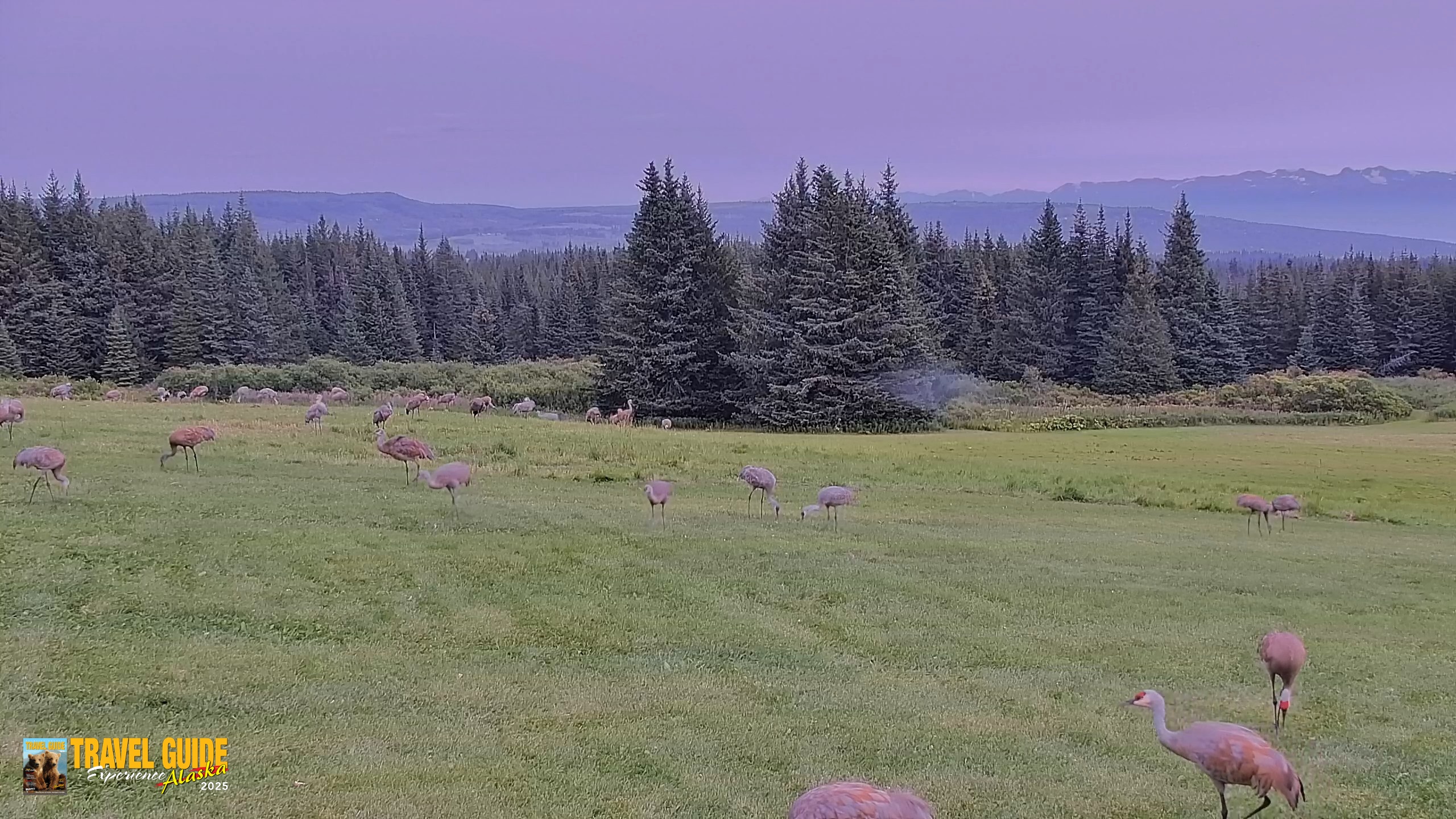 Snapshot of Inspiration Ridge - Homer Alaska Live Webcam taken Aug 30, 2026, 2:26pm AKDT