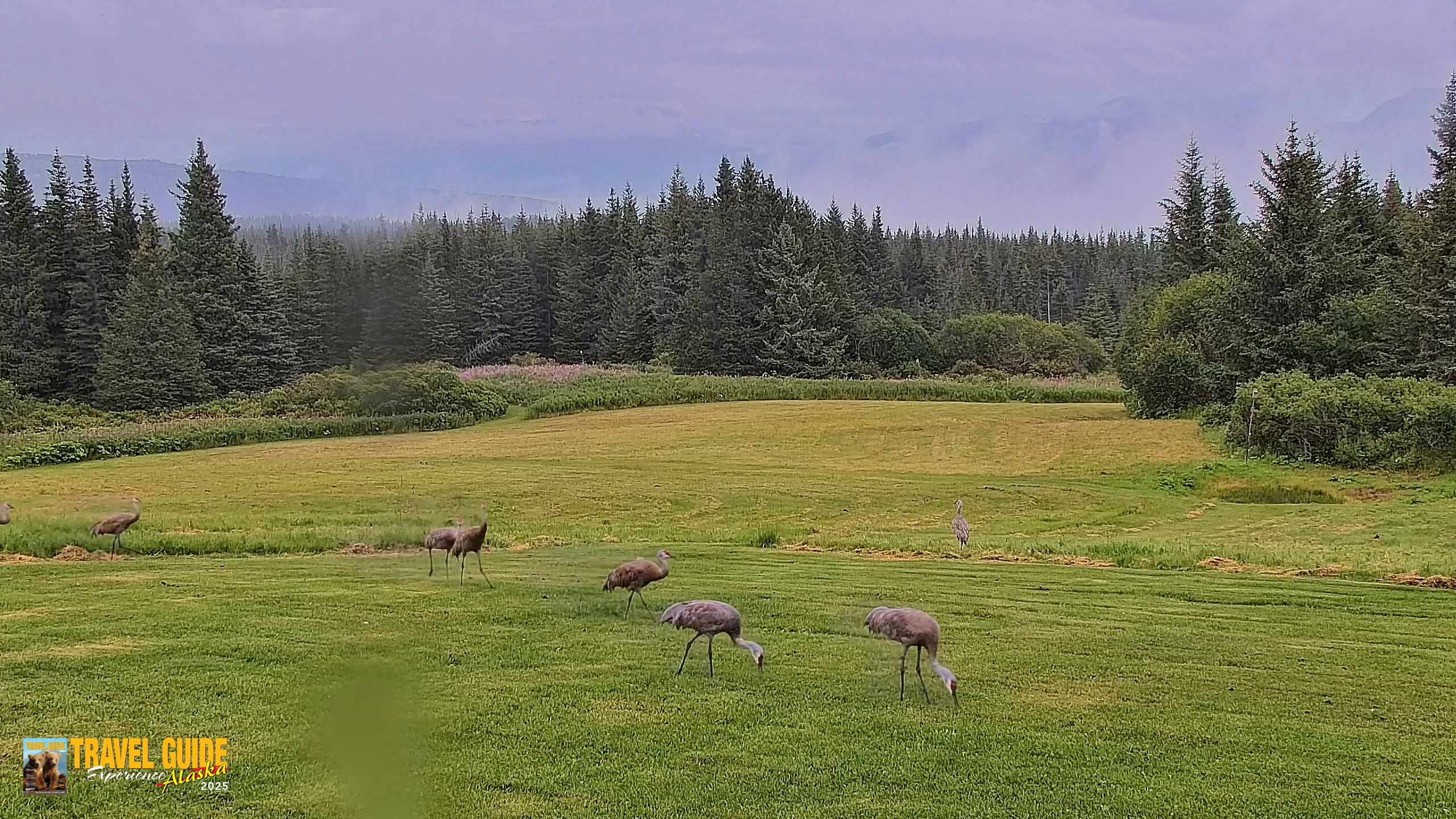 Snapshot of Inspiration Ridge - Homer Alaska Live Webcam taken Aug 19, 2026, 5:20pm AKDT