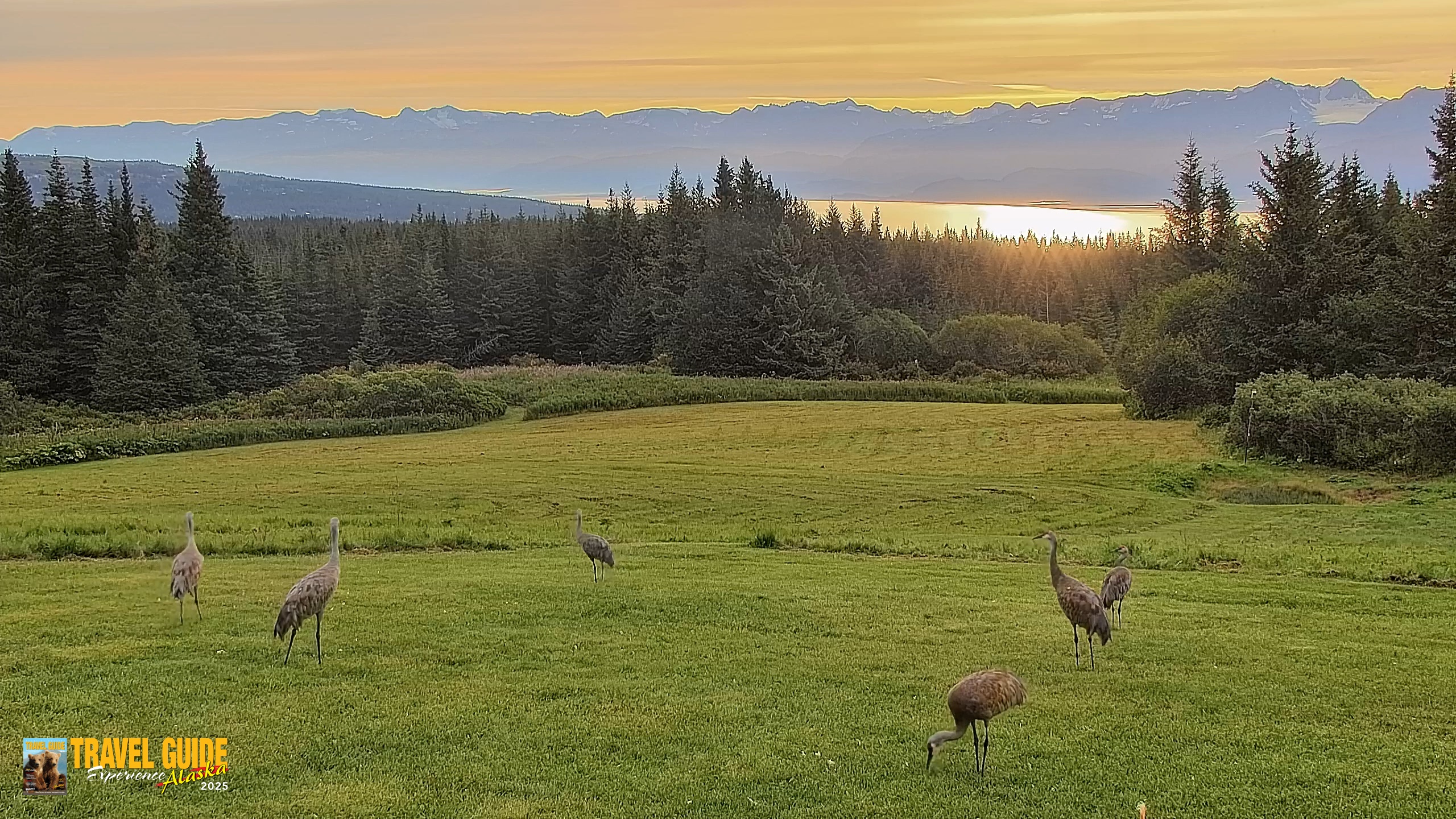 Snapshot of Inspiration Ridge - Homer Alaska Live Webcam taken Aug 24, 2026, 8:20am AKDT