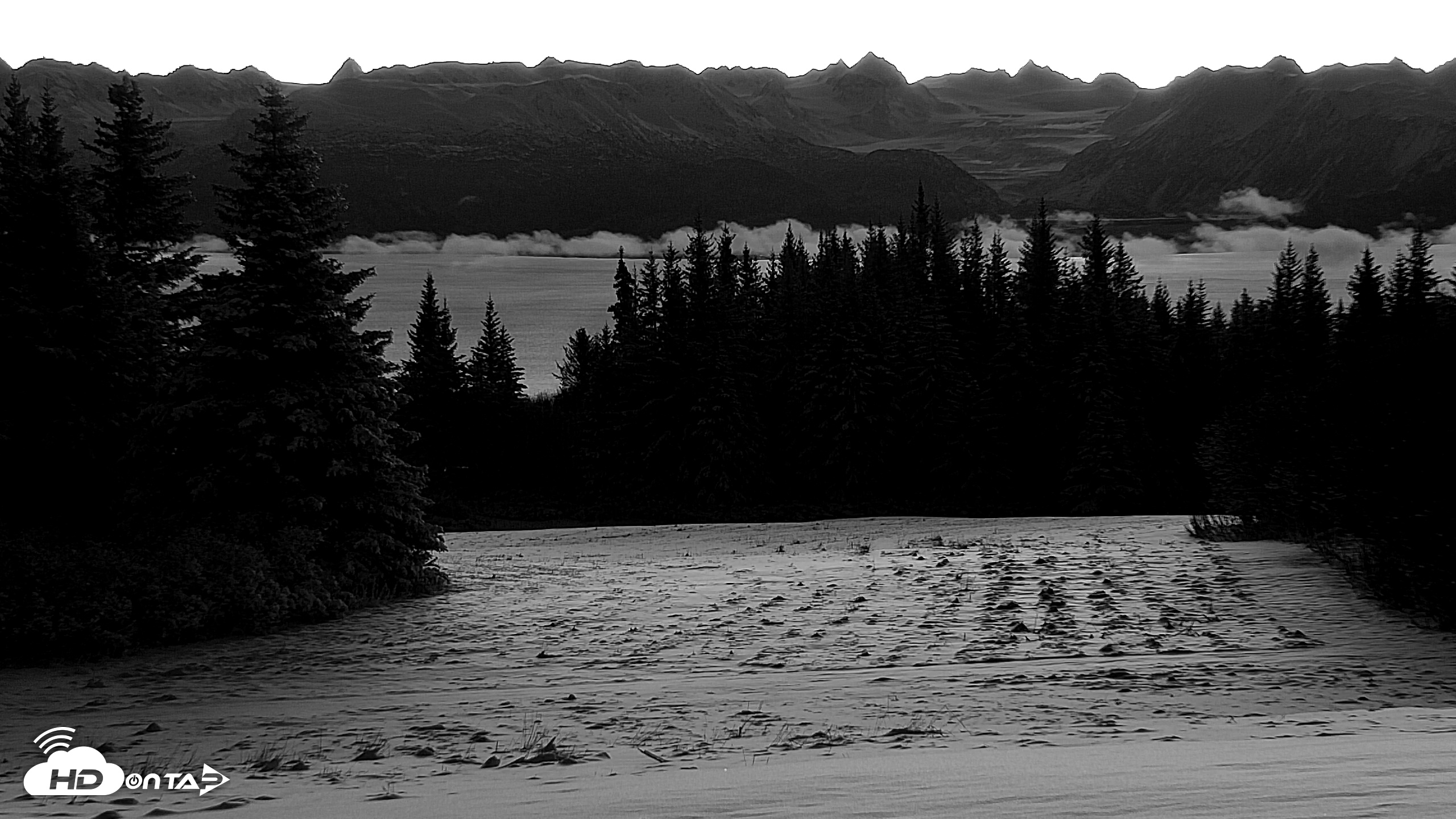 Snapshot of Inspiration Ridge - Homer Alaska Live Webcam taken Nov 23, 2025, 8:29am AKST