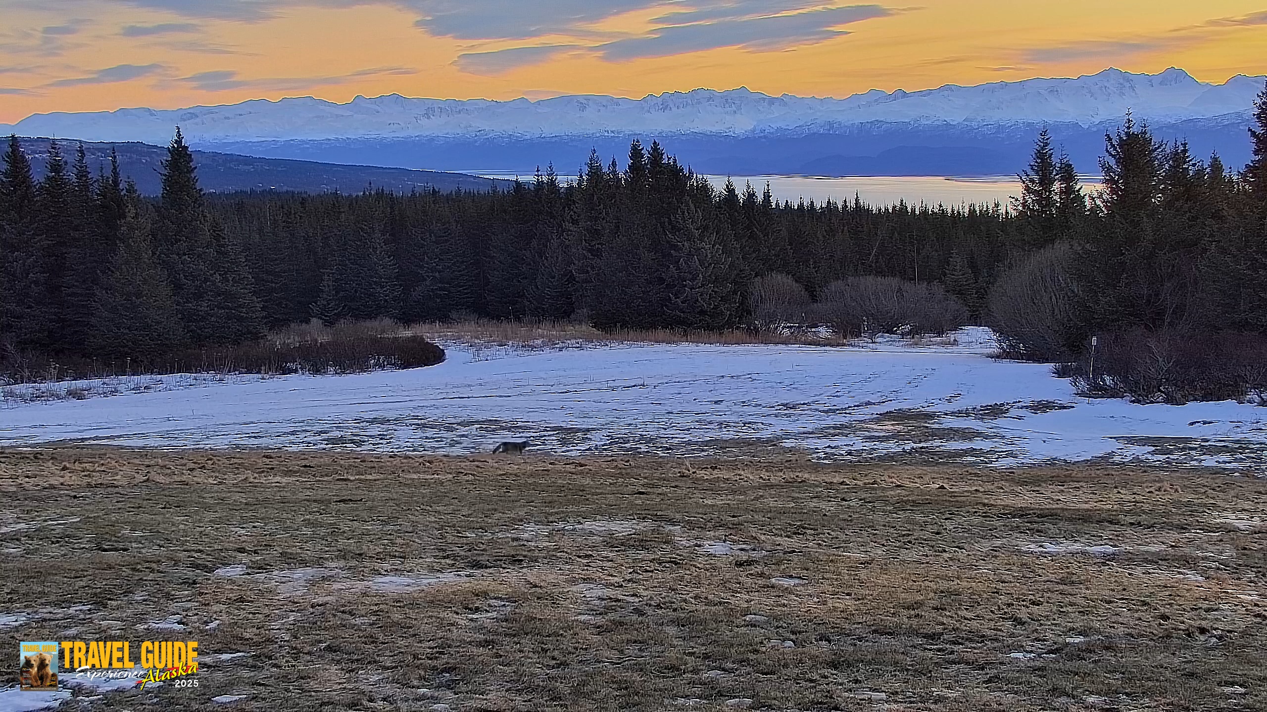 Snapshot of Inspiration Ridge - Homer Alaska Live Webcam taken Feb 6, 2026, 10:01am AKST