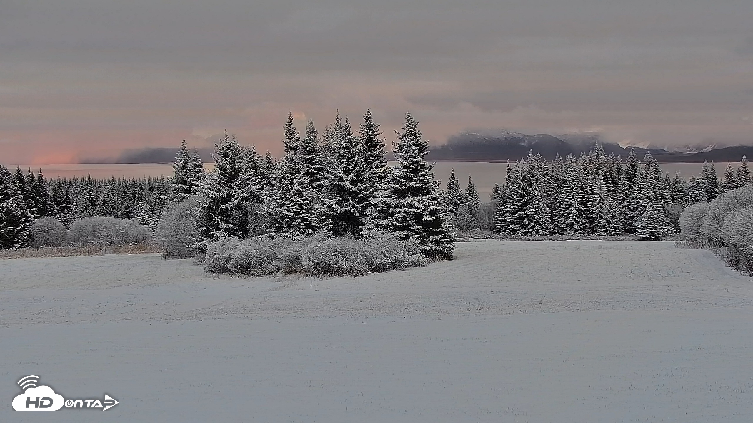 Snapshot of Inspiration Ridge - Homer Alaska Live Webcam taken Nov 4, 2025, 6:52pm AKST