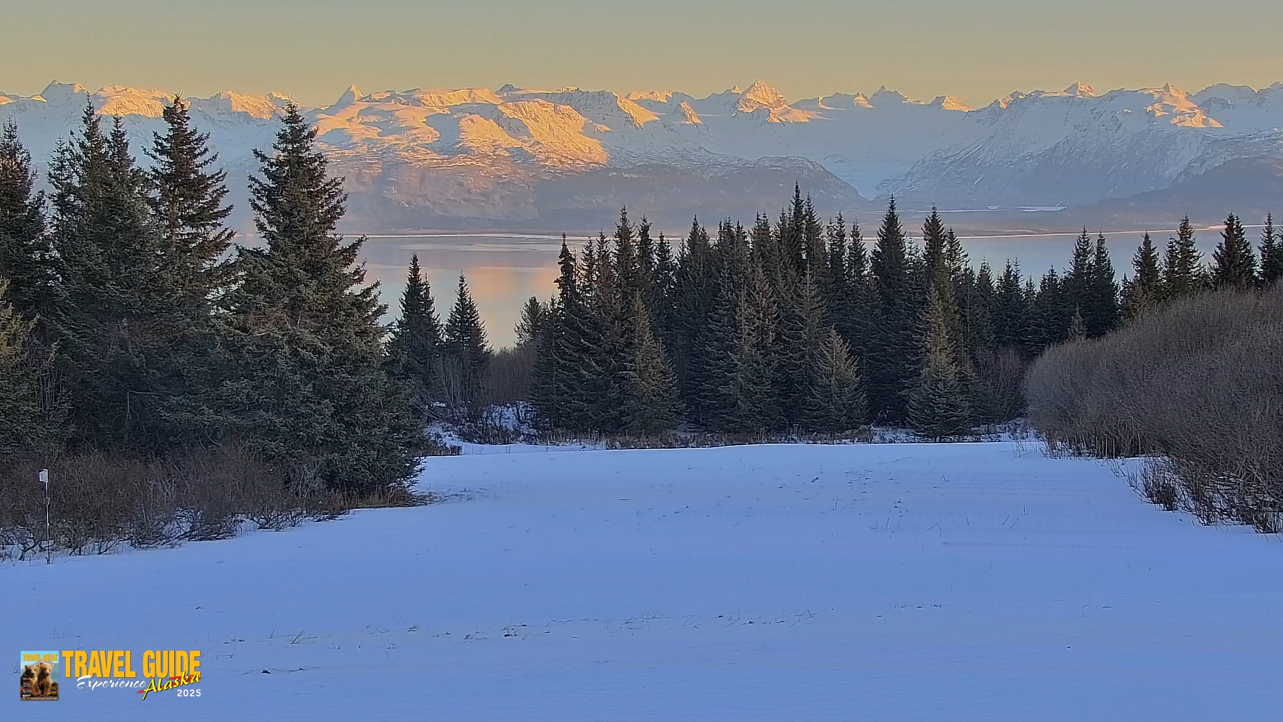 Snapshot of Inspiration Ridge - Homer Alaska Live Webcam taken Jan 18, 2026, 9:30pm AKST
