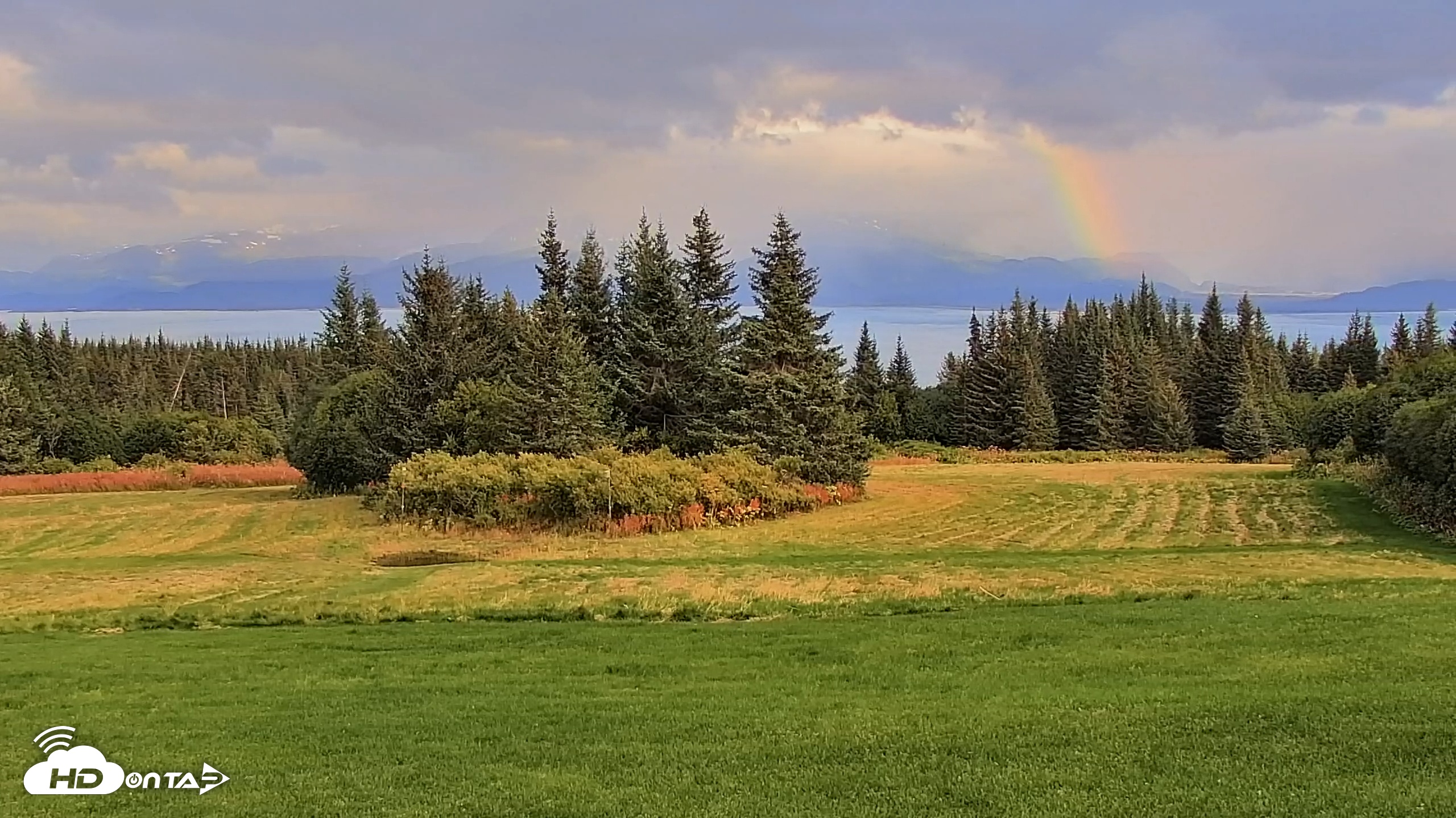 Snapshot of Inspiration Ridge - Homer Alaska Live Webcam taken Sep 9, 2025, 6:45pm AKDT