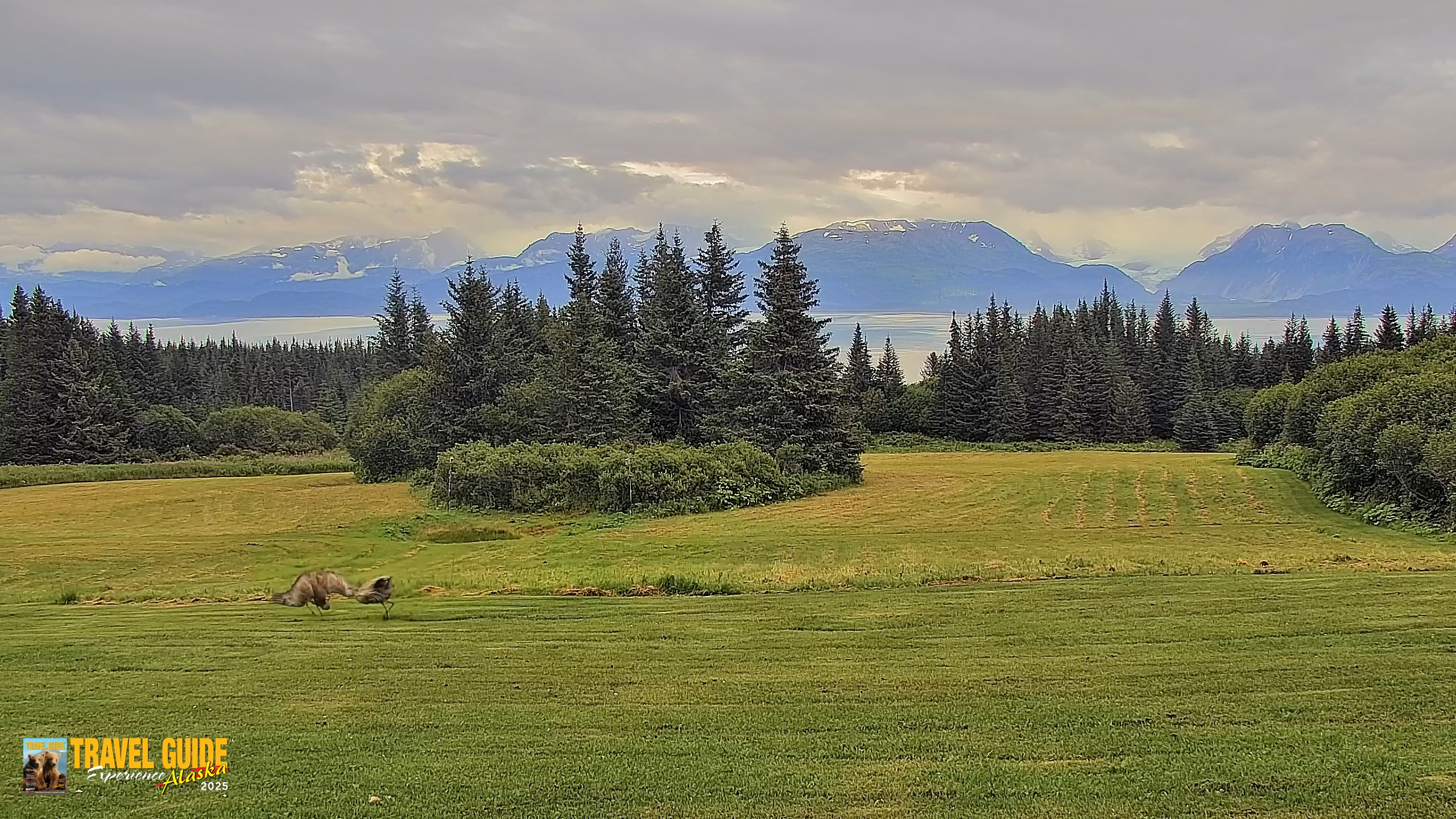 Snapshot of Inspiration Ridge - Homer Alaska Live Webcam taken Aug 19, 2026, 7:15pm AKDT