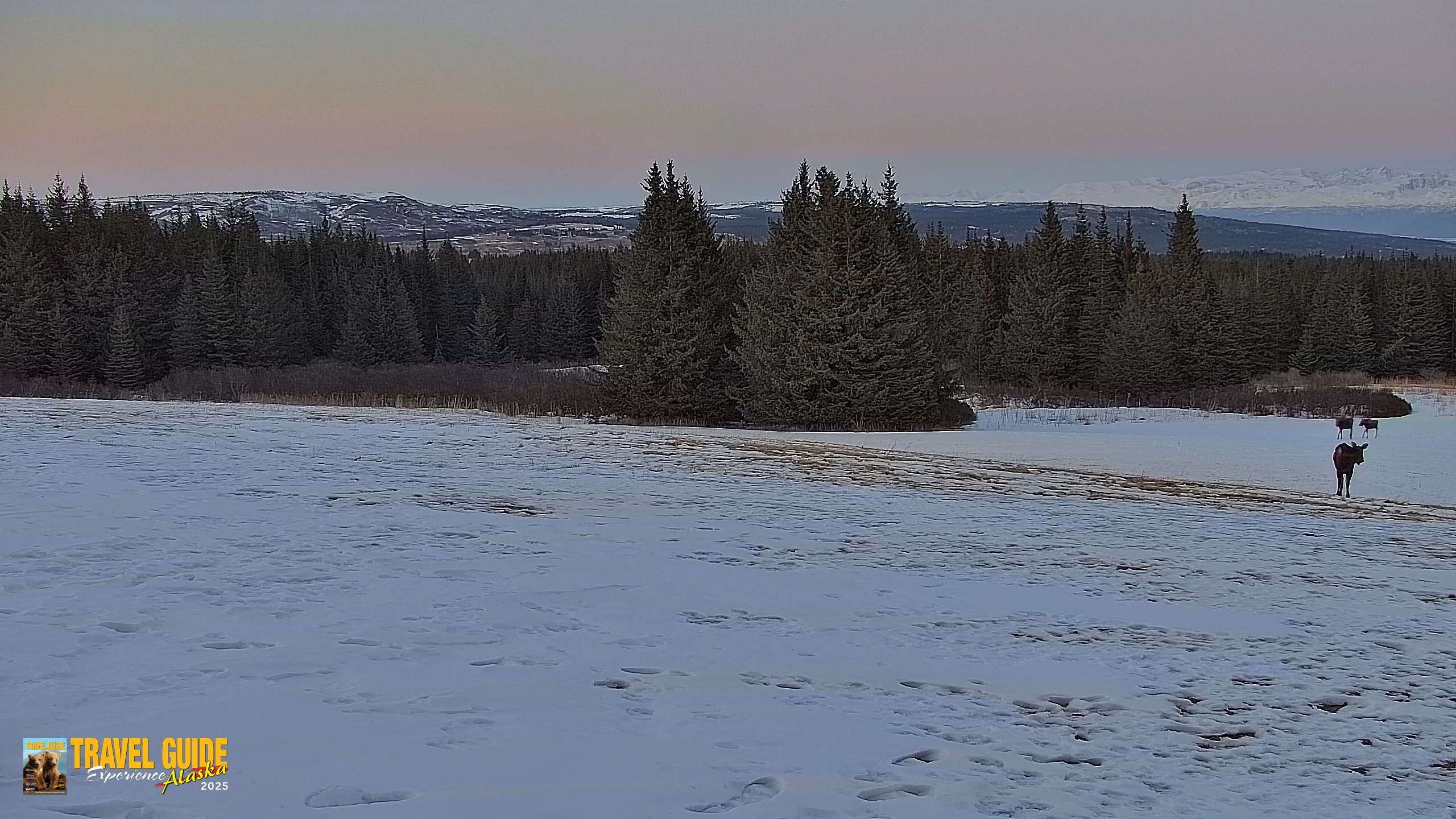 Snapshot of Inspiration Ridge - Homer Alaska Live Webcam taken Apr 1, 2026, 10:03pm AKDT