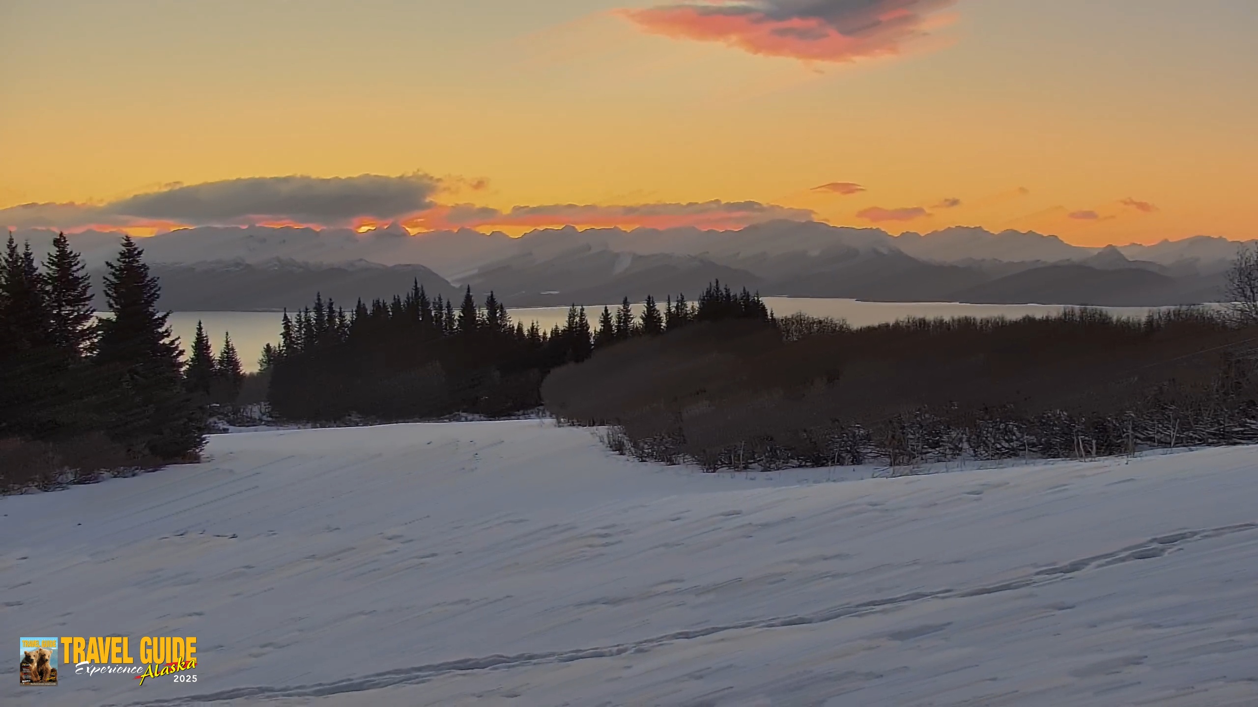 Snapshot of Inspiration Ridge - Homer Alaska Live Webcam taken Feb 15, 2026, 8:40am AKST