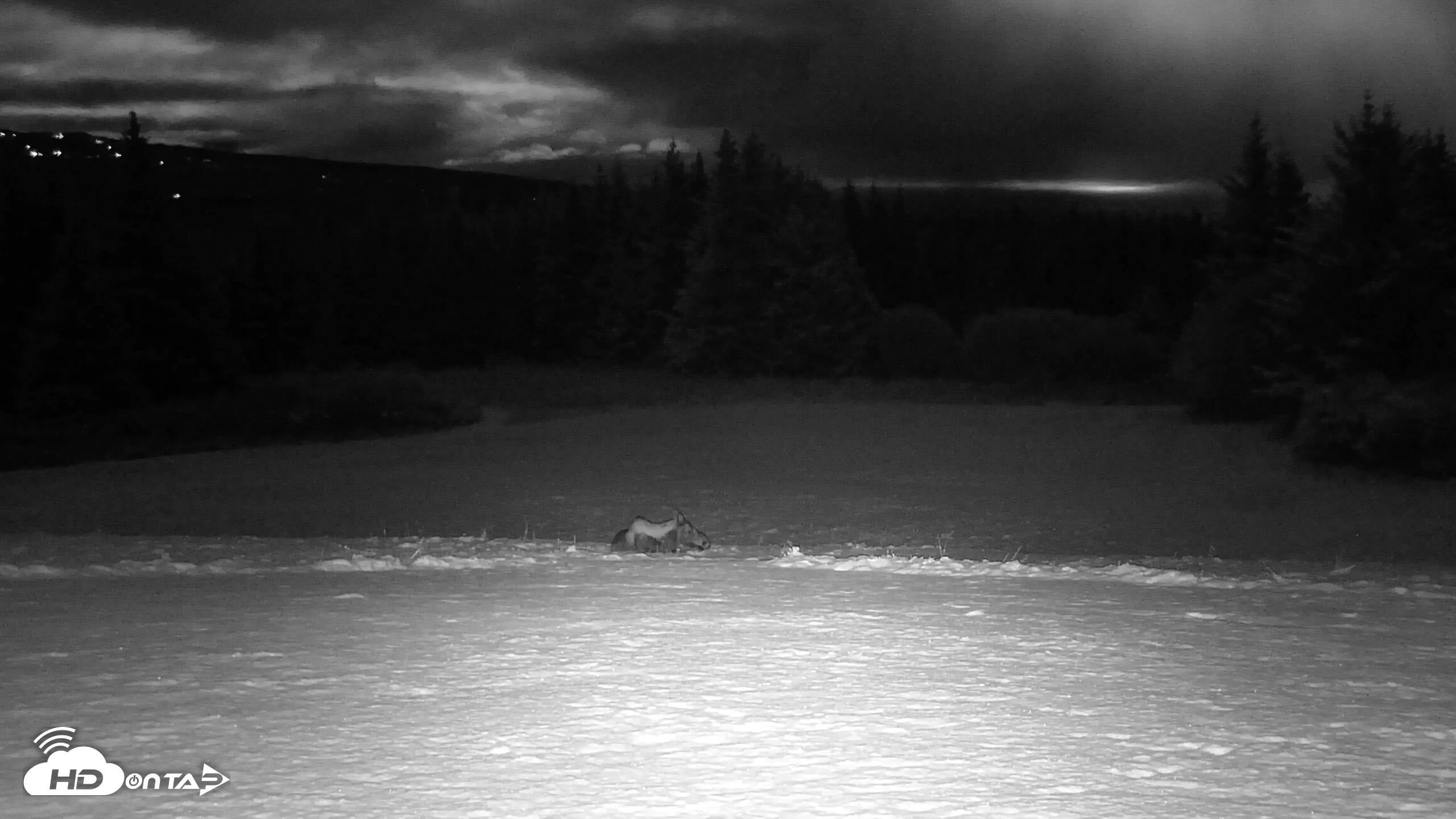 Snapshot of Inspiration Ridge - Homer Alaska Live Webcam taken Nov 4, 2025, 6:45pm AKST