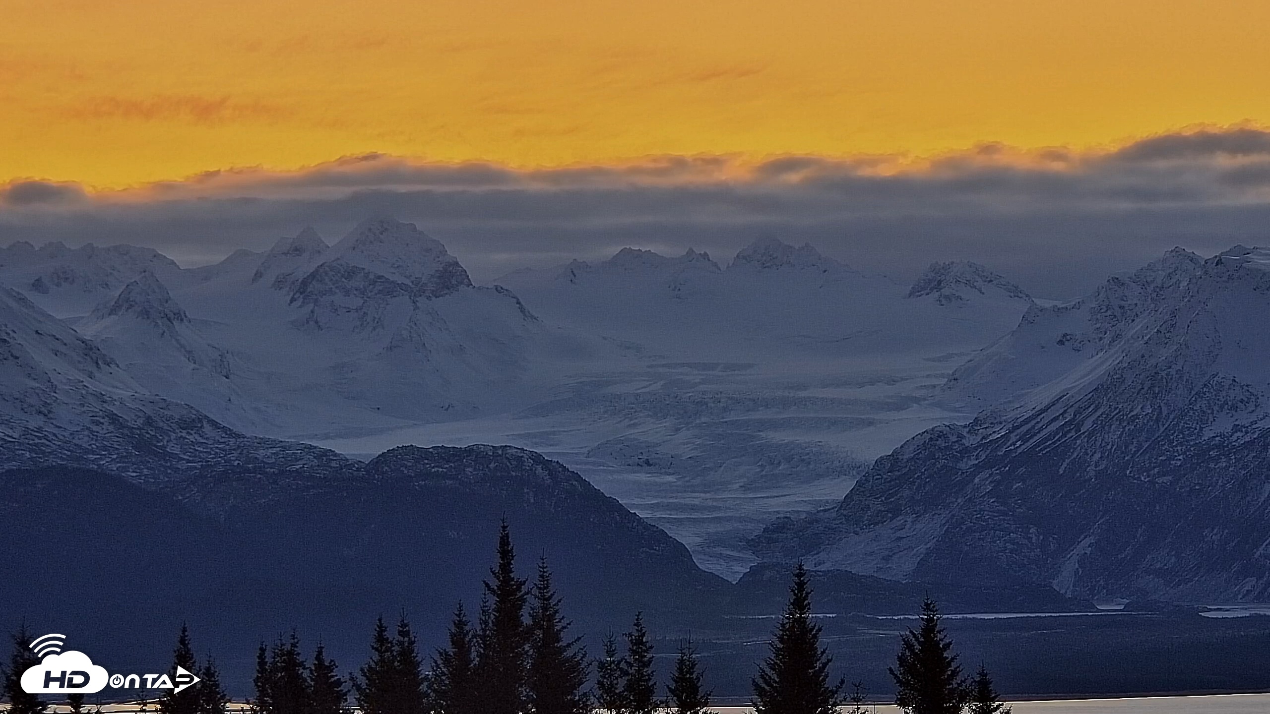 Snapshot of Inspiration Ridge - Homer Alaska Live Webcam taken Nov 12, 2025, 8:11am AKST
