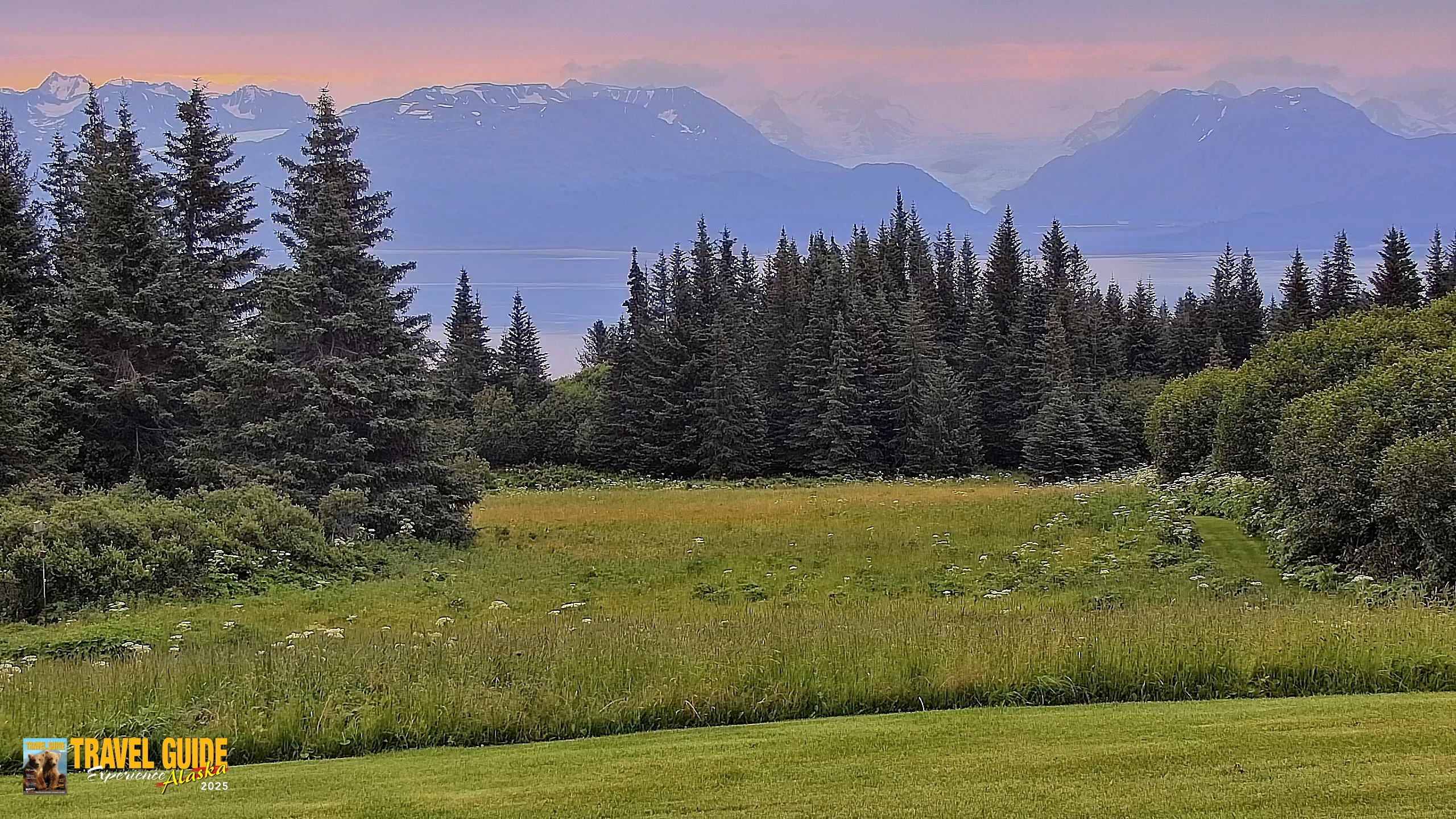 Snapshot of Inspiration Ridge - Homer Alaska Live Webcam taken Aug 6, 2026, 6:37am AKDT