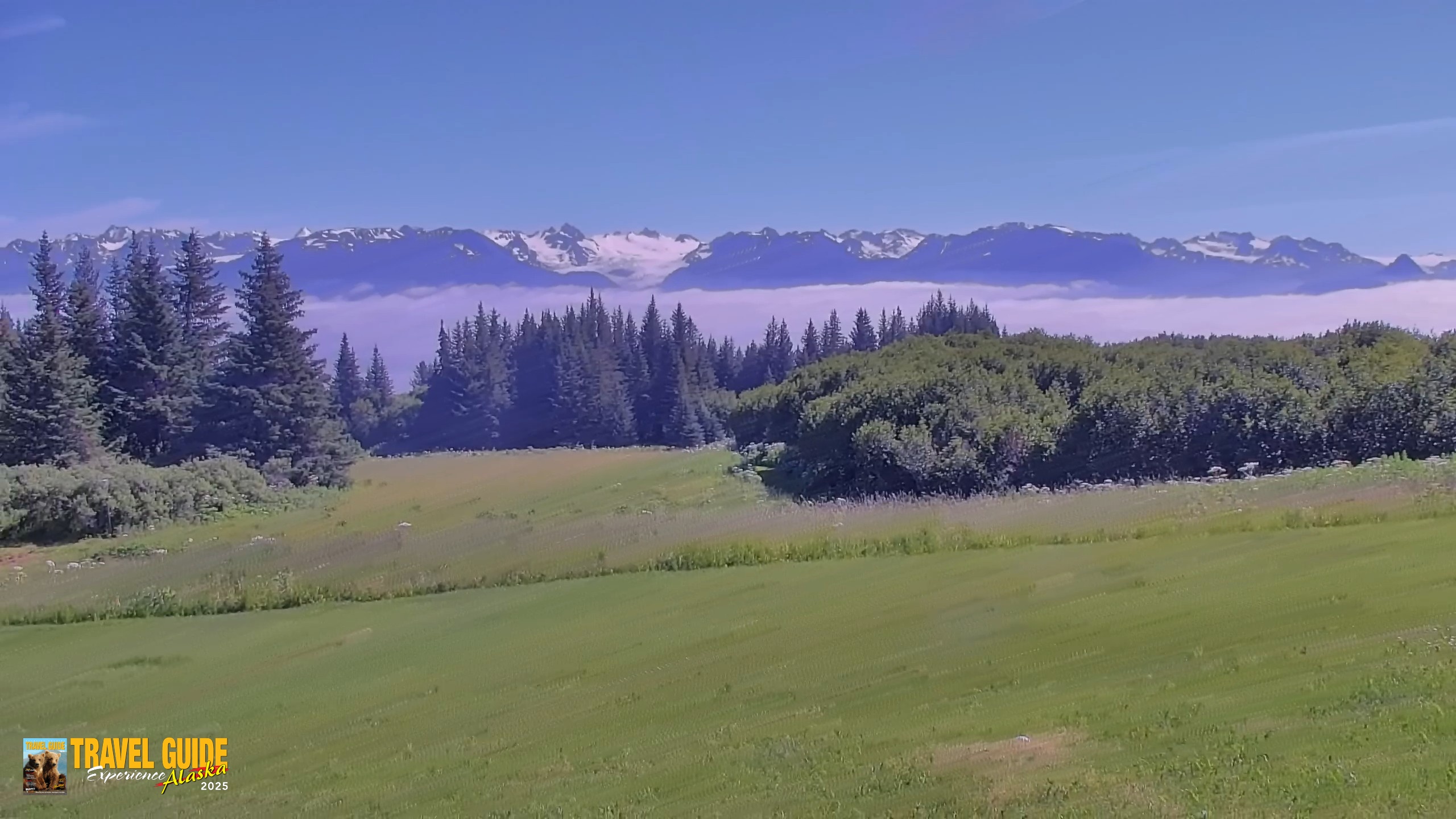 Snapshot of Inspiration Ridge - Homer Alaska Live Webcam taken Aug 1, 2026, 2:06pm AKDT