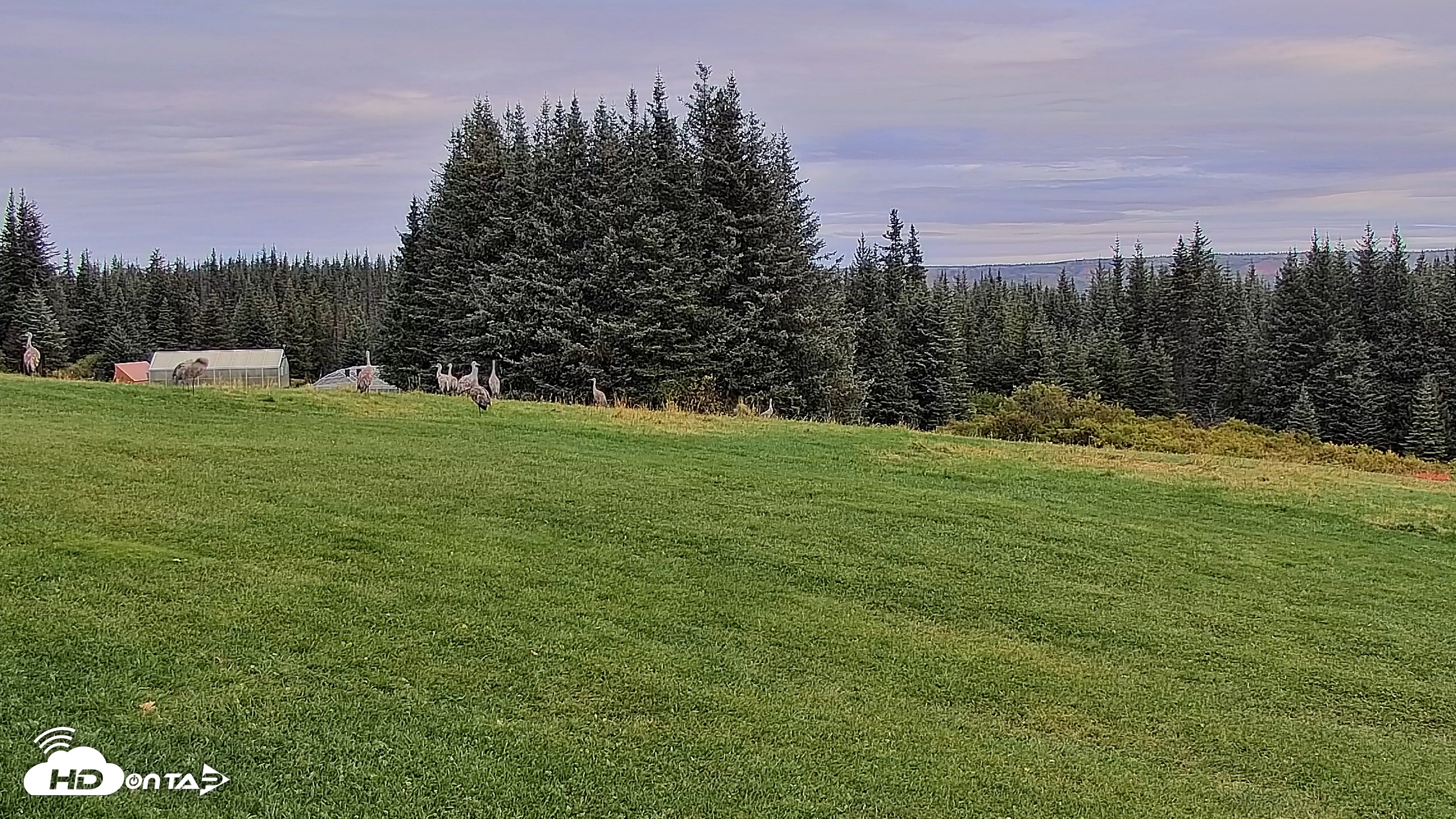 Snapshot of Inspiration Ridge - Homer Alaska Live Webcam taken Sep 12, 2025, 10:30am AKDT