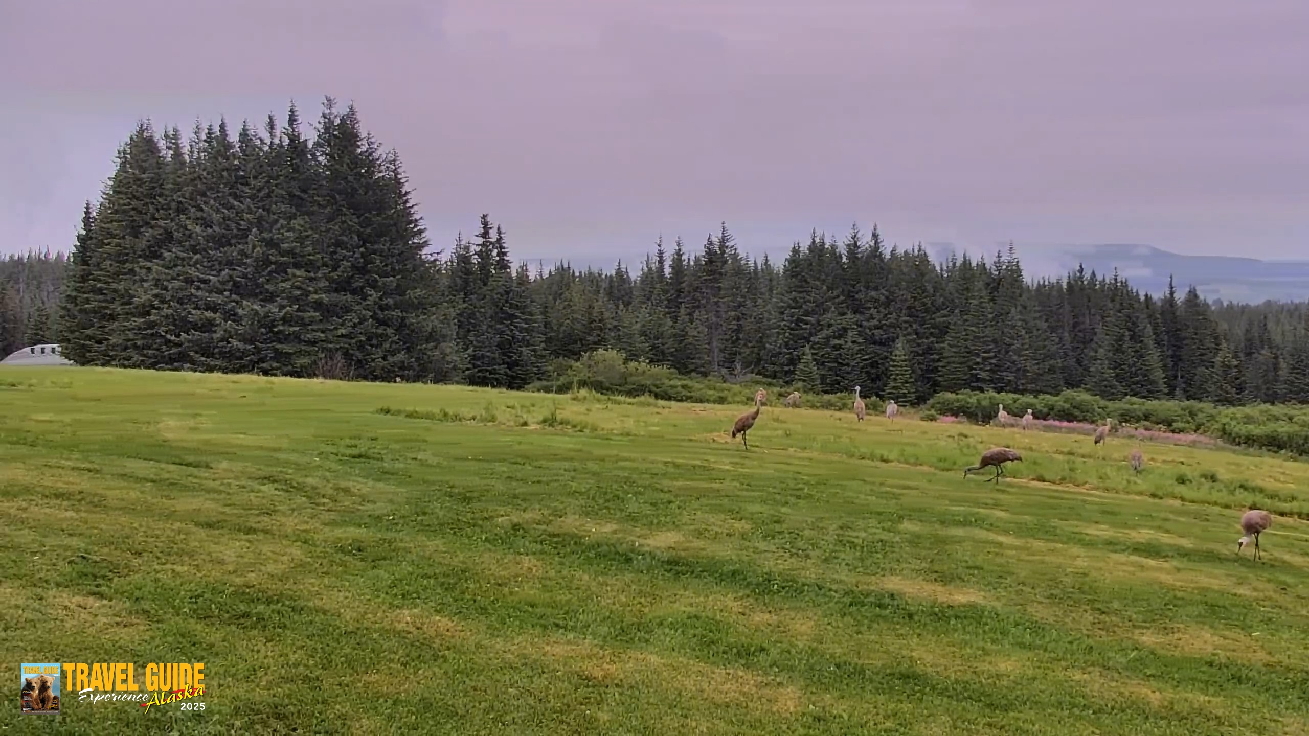 Snapshot of Inspiration Ridge - Homer Alaska Live Webcam taken Aug 19, 2026, 4:46pm AKDT