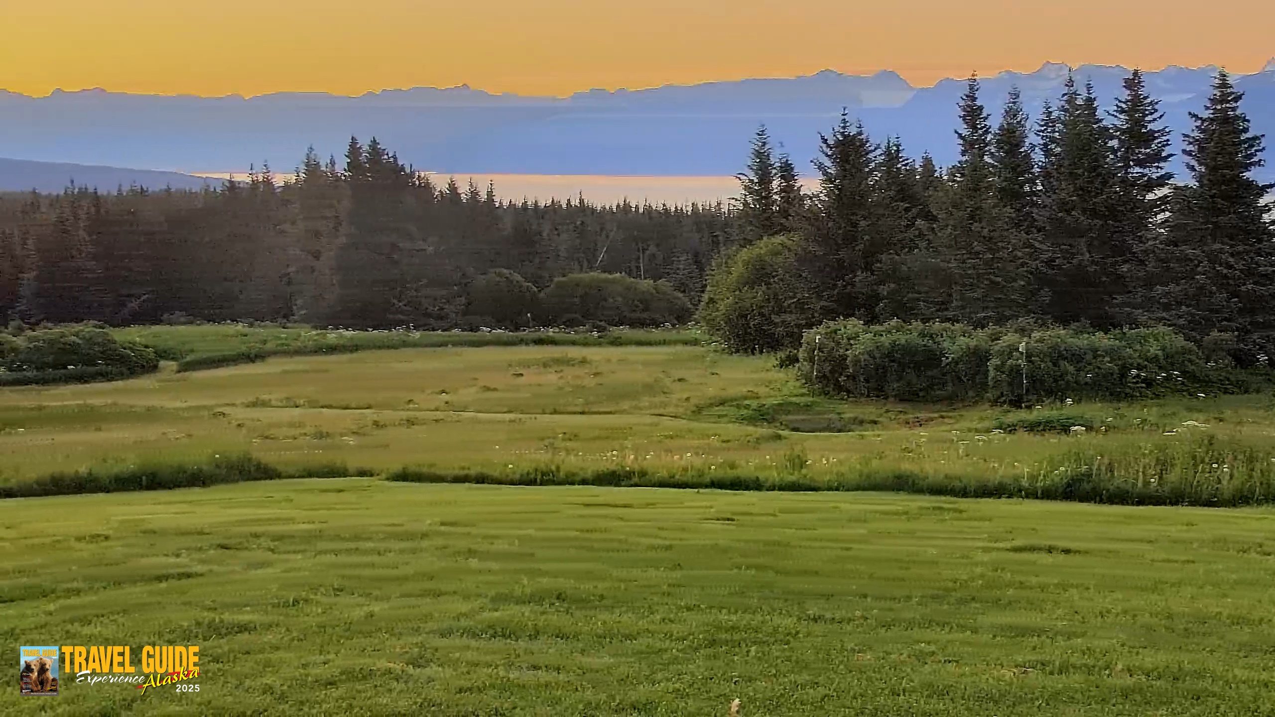 Snapshot of Inspiration Ridge - Homer Alaska Live Webcam taken Jul 31, 2026, 5:41am AKDT