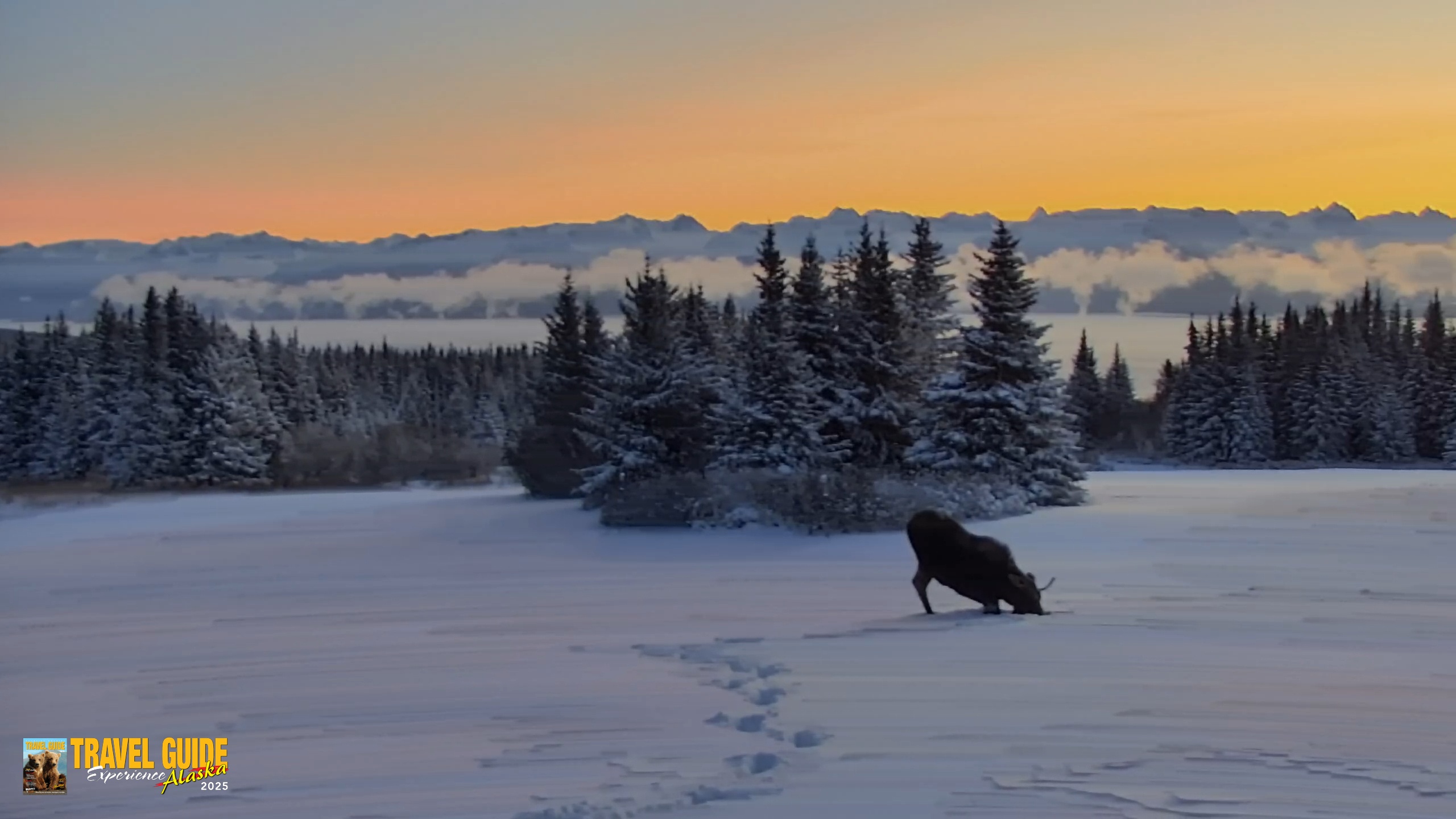 Snapshot of Inspiration Ridge - Homer Alaska Live Webcam taken Jan 8, 2026, 2:11pm AKST