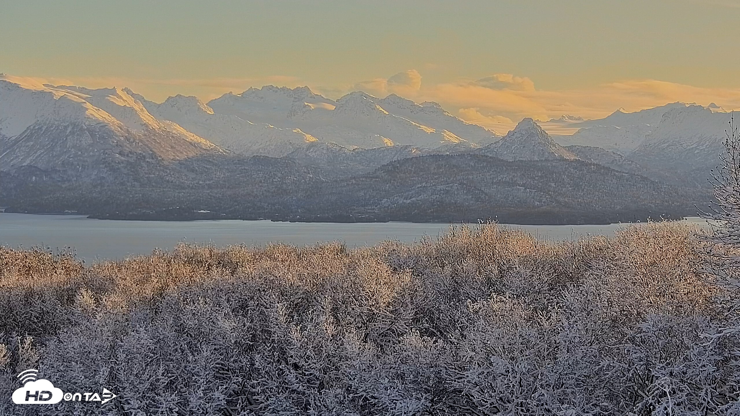 Snapshot of Inspiration Ridge - Homer Alaska Live Webcam taken Nov 22, 2025, 2:00pm AKST