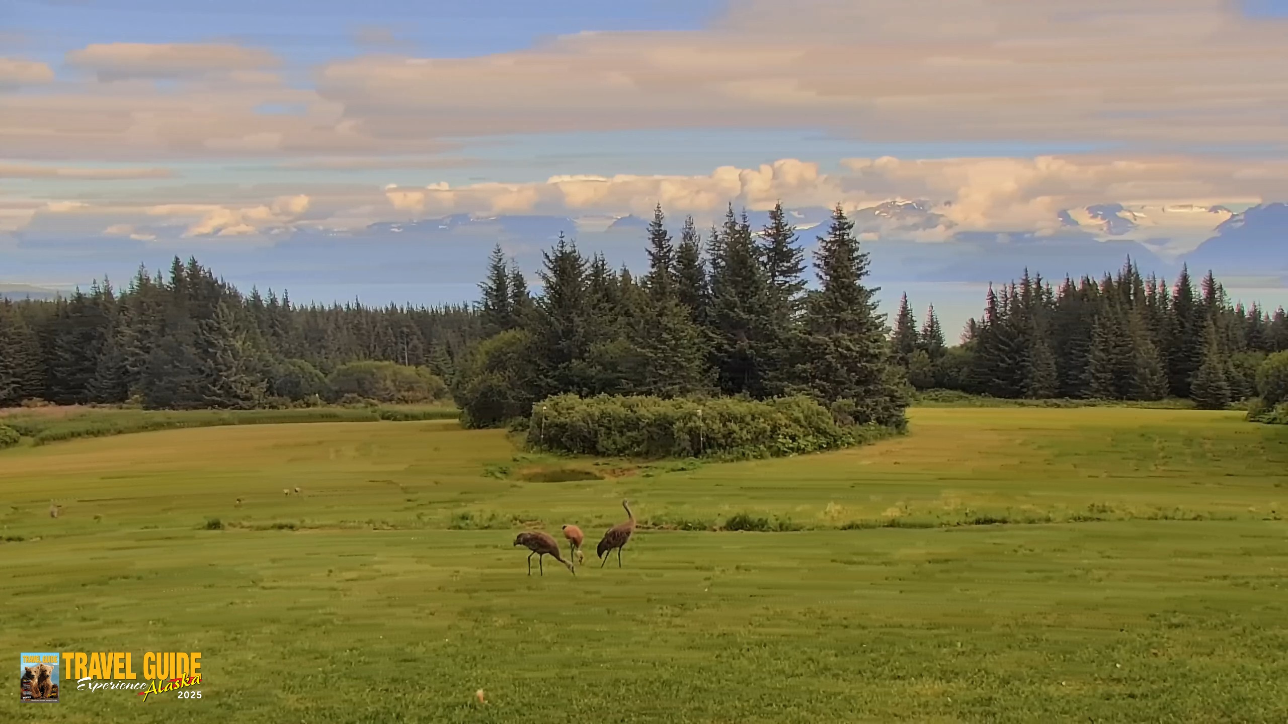 Snapshot of Inspiration Ridge - Homer Alaska Live Webcam taken Aug 23, 2026, 10:22pm AKDT
