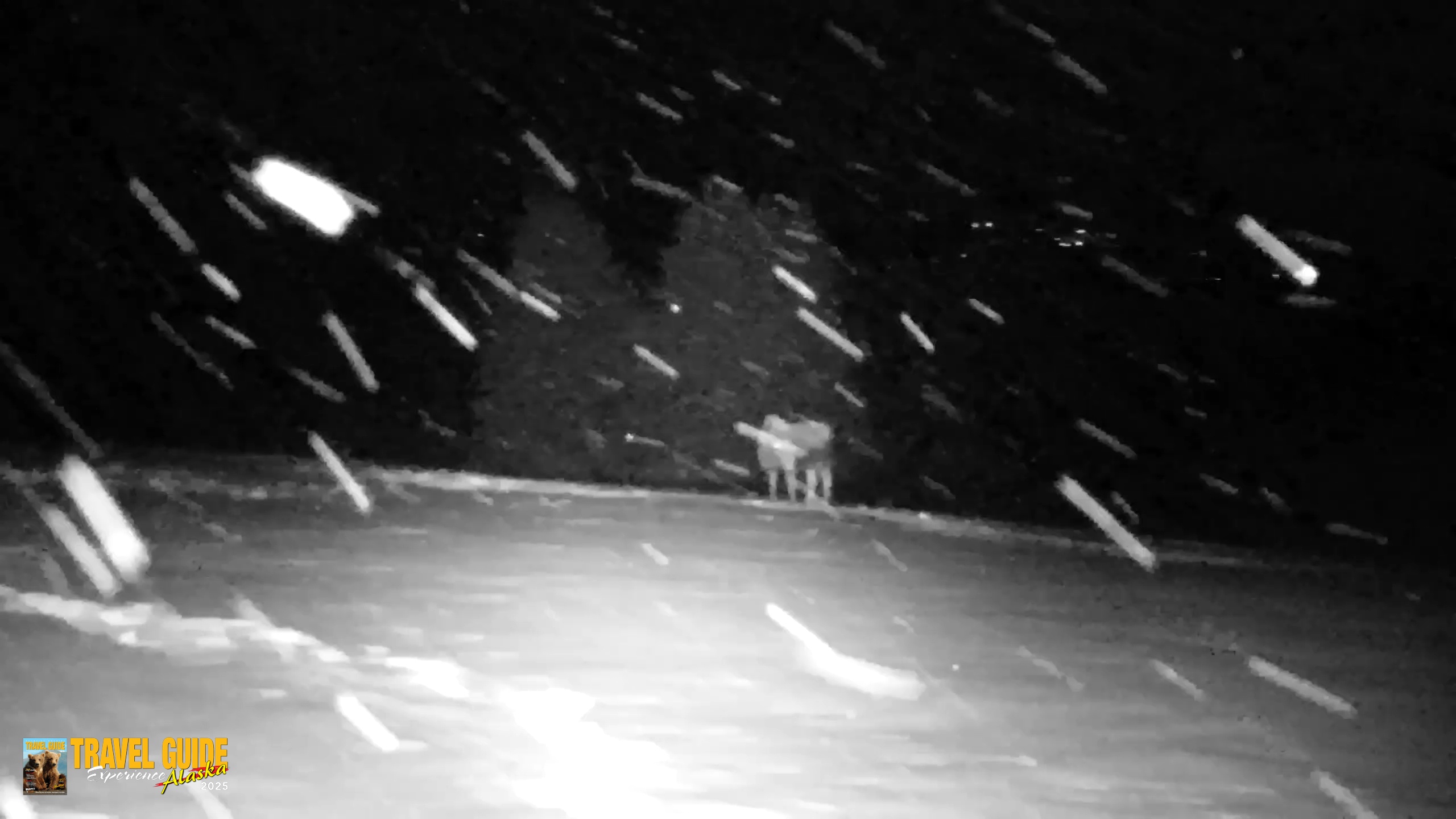 Snapshot of Inspiration Ridge - Homer Alaska Live Webcam taken Jan 12, 2026, 10:17pm AKST