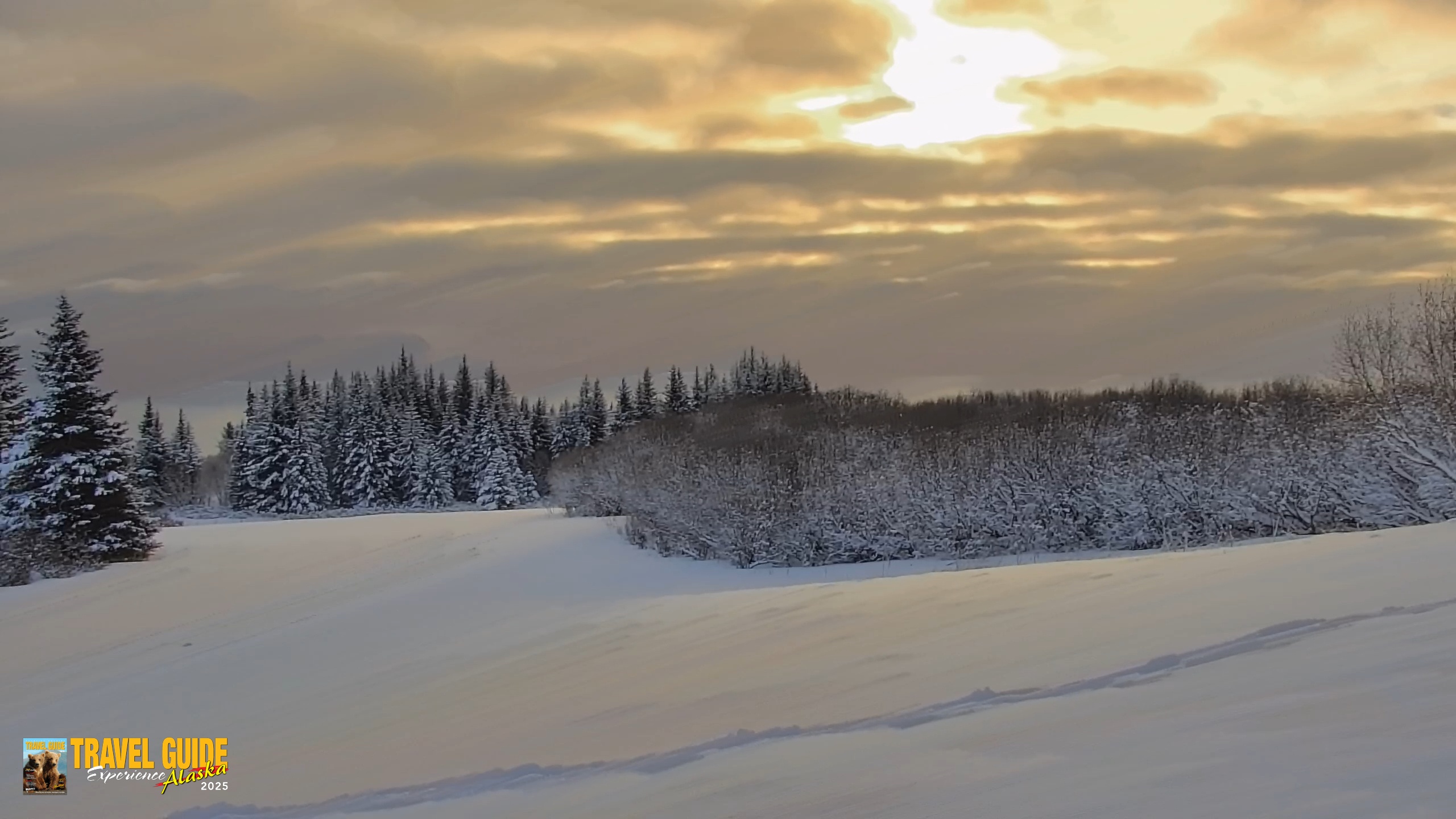 Snapshot of Inspiration Ridge - Homer Alaska Live Webcam taken Feb 13, 2026, 10:19am AKST