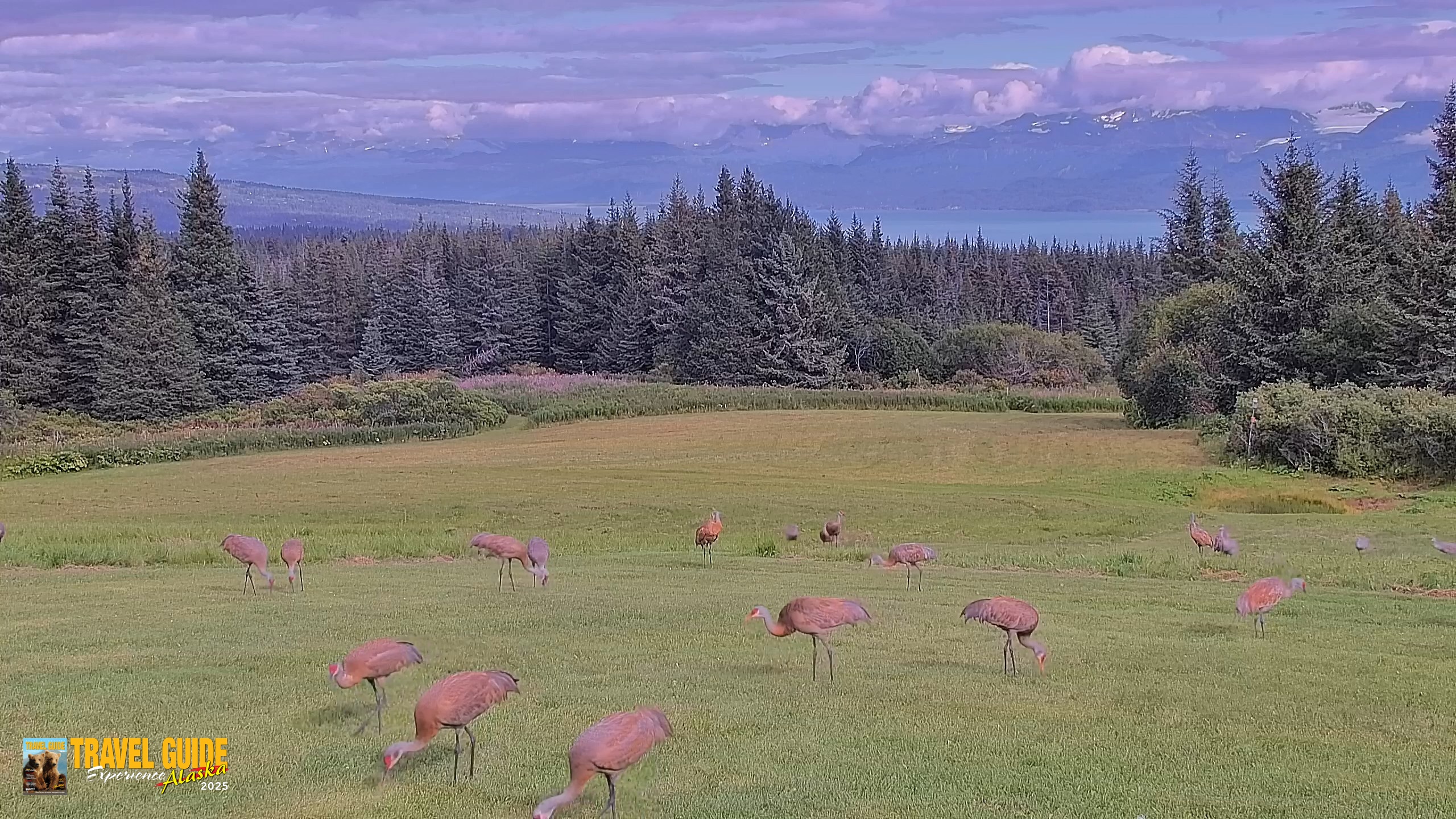 Snapshot of Inspiration Ridge - Homer Alaska Live Webcam taken Aug 23, 2026, 9:20pm AKDT