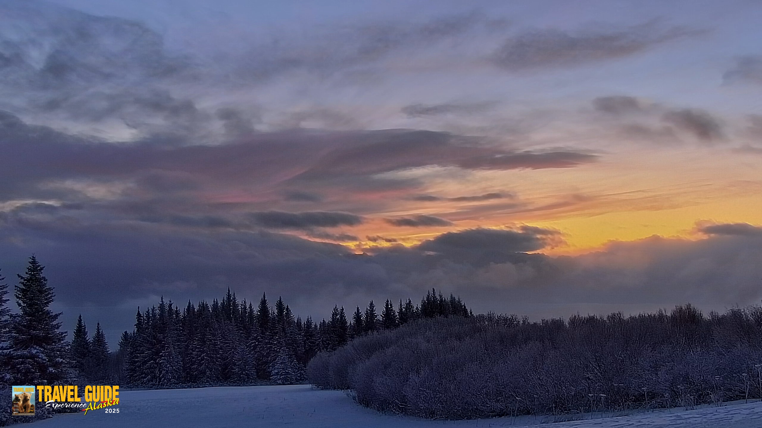 Snapshot of Inspiration Ridge - Homer Alaska Live Webcam taken Jan 14, 2026, 9:04am AKST