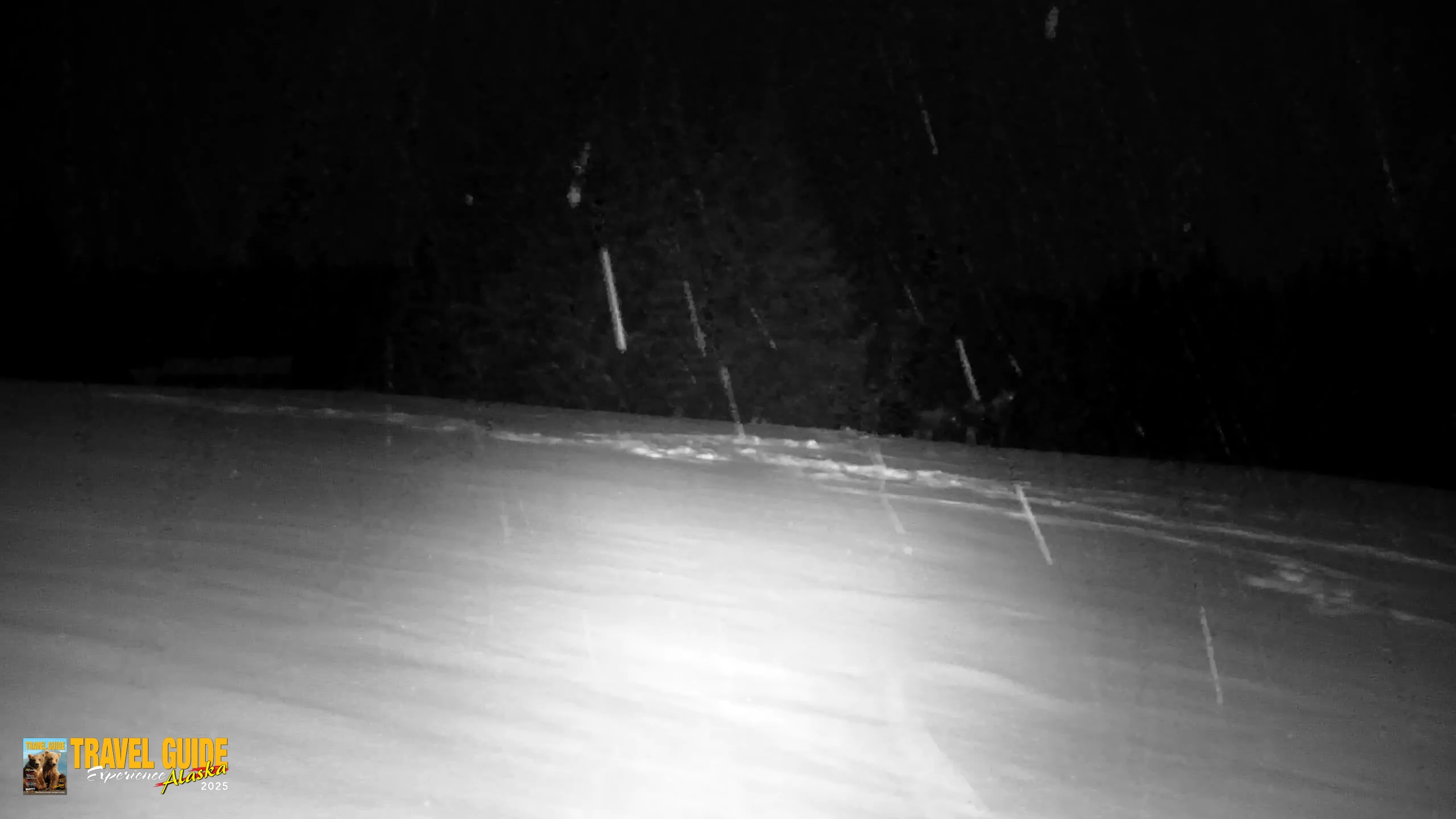 Snapshot of Inspiration Ridge - Homer Alaska Live Webcam taken Jan 6, 2026, 1:49am AKST