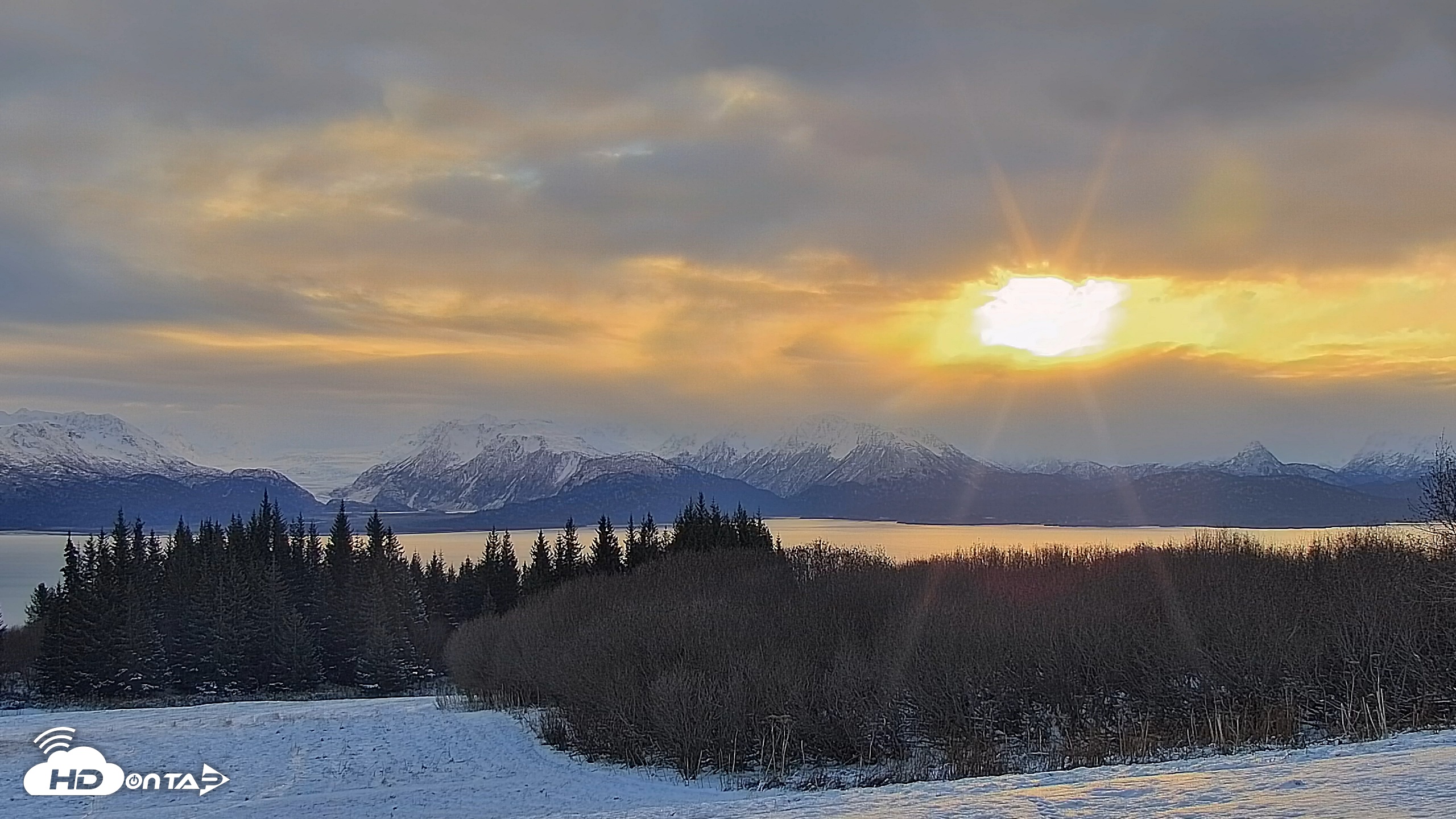 Snapshot of Inspiration Ridge - Homer Alaska Live Webcam taken Nov 12, 2025, 9:59am AKST