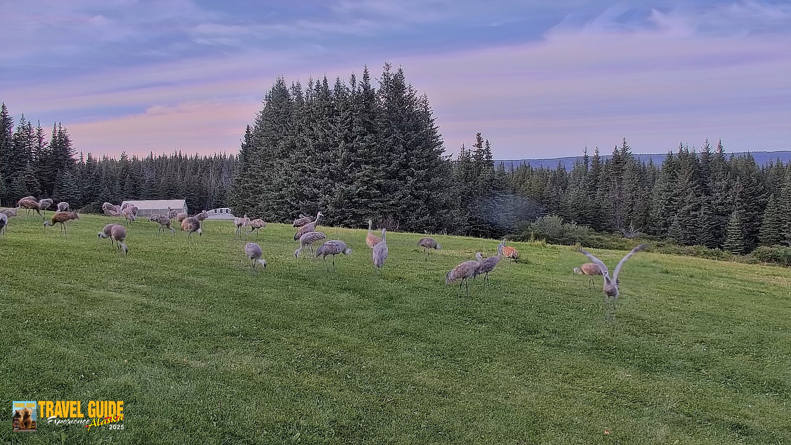 Snapshot of Inspiration Ridge - Homer Alaska Live Webcam taken Sep 1, 2026, 7:41pm AKDT
