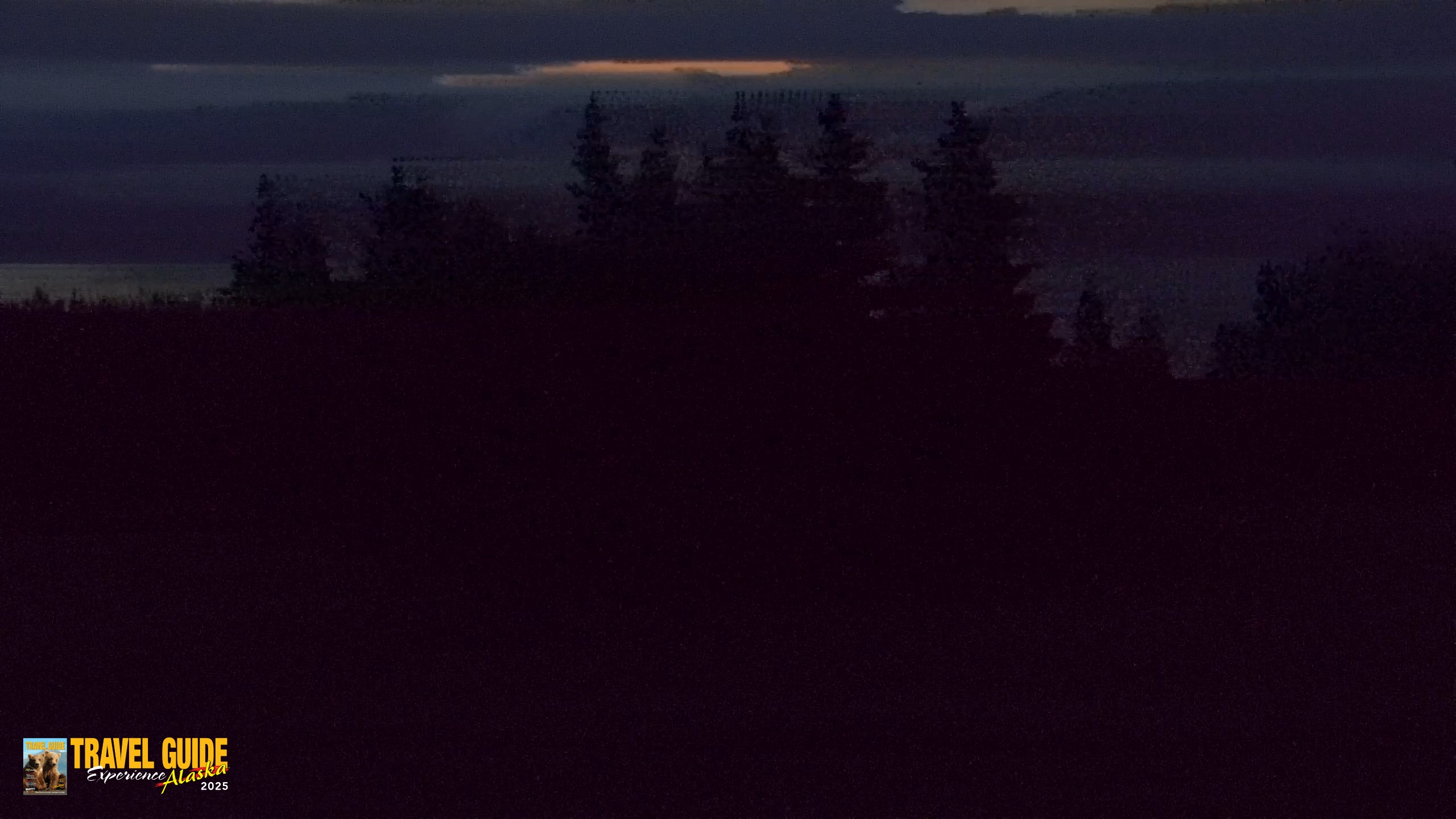 Snapshot of Inspiration Ridge - Homer Alaska Live Webcam taken Aug 21, 2026, 5:51am AKDT