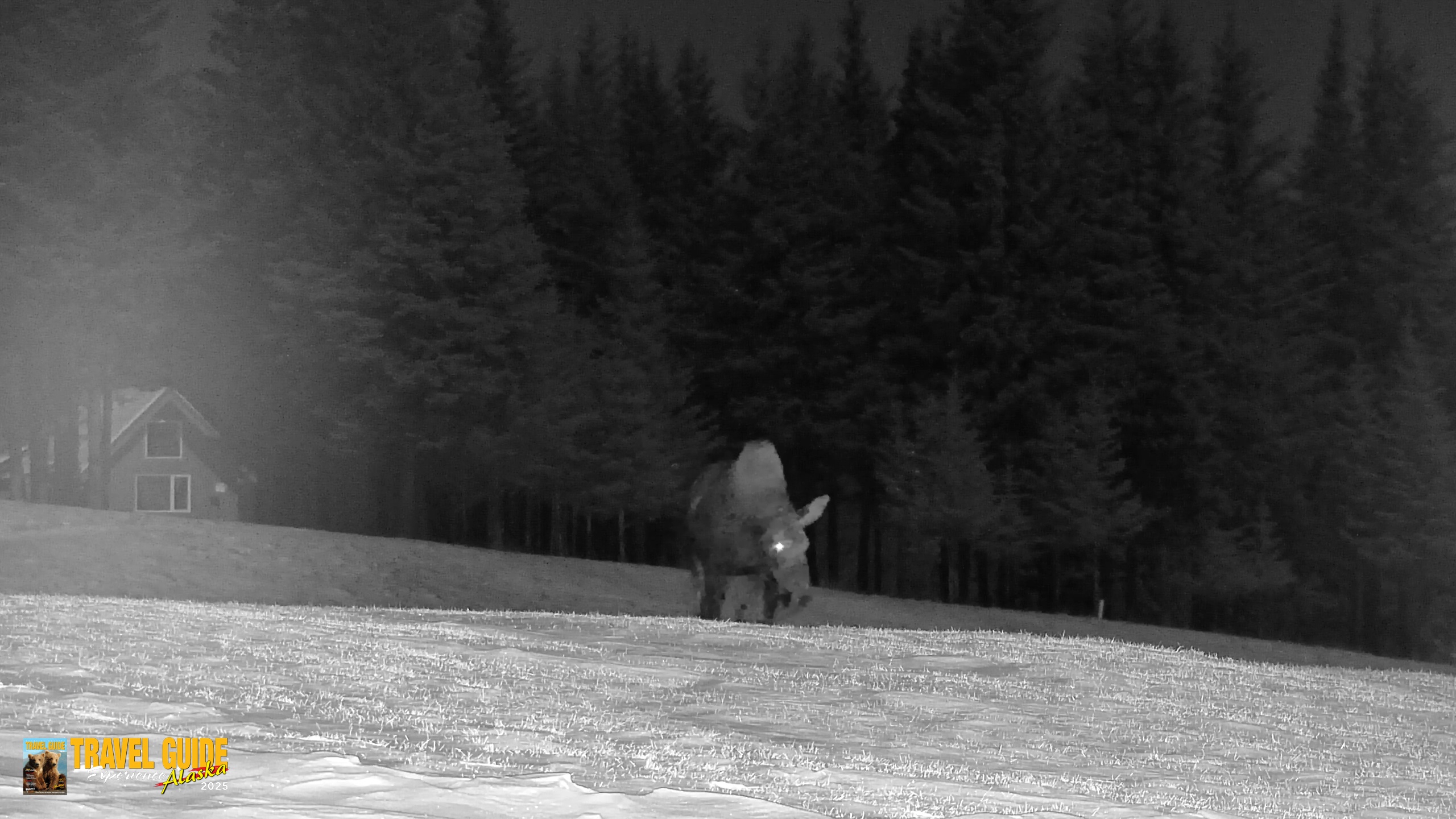 Snapshot of Inspiration Ridge - Homer Alaska Live Webcam taken Jan 2, 2026, 10:33pm AKST