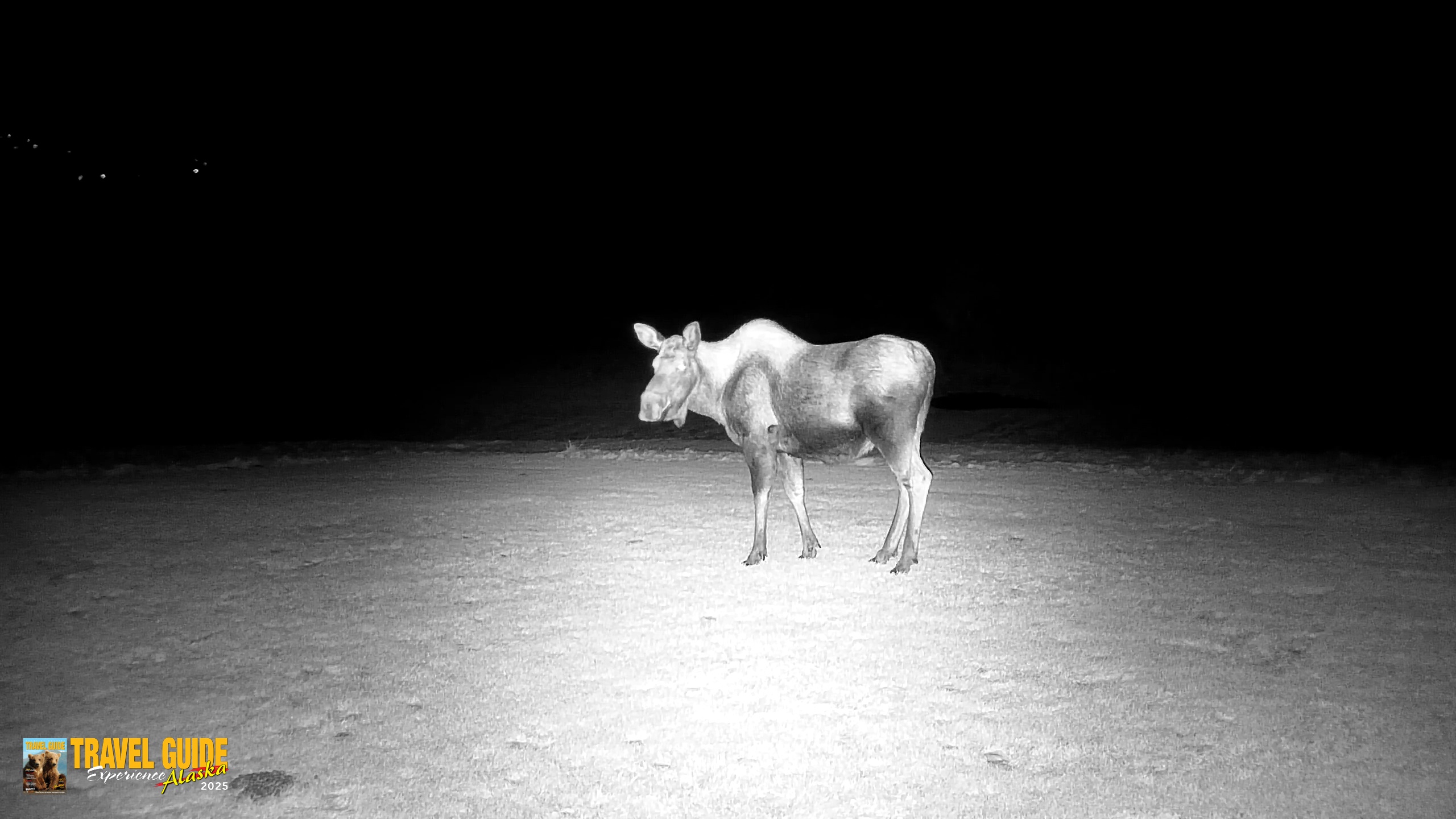 Snapshot of Inspiration Ridge - Homer Alaska Live Webcam taken Dec 25, 2025, 7:55pm AKST
