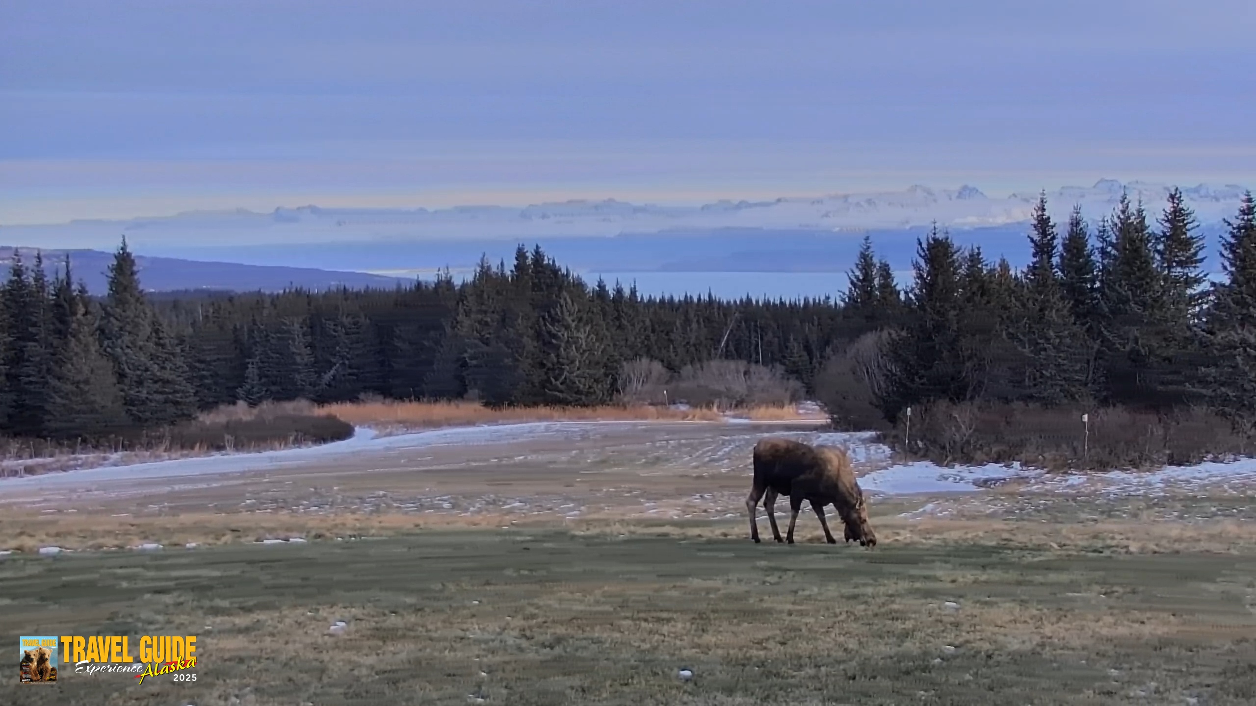 Snapshot of Inspiration Ridge - Homer Alaska Live Webcam taken Dec 22, 2025, 2:06pm AKST