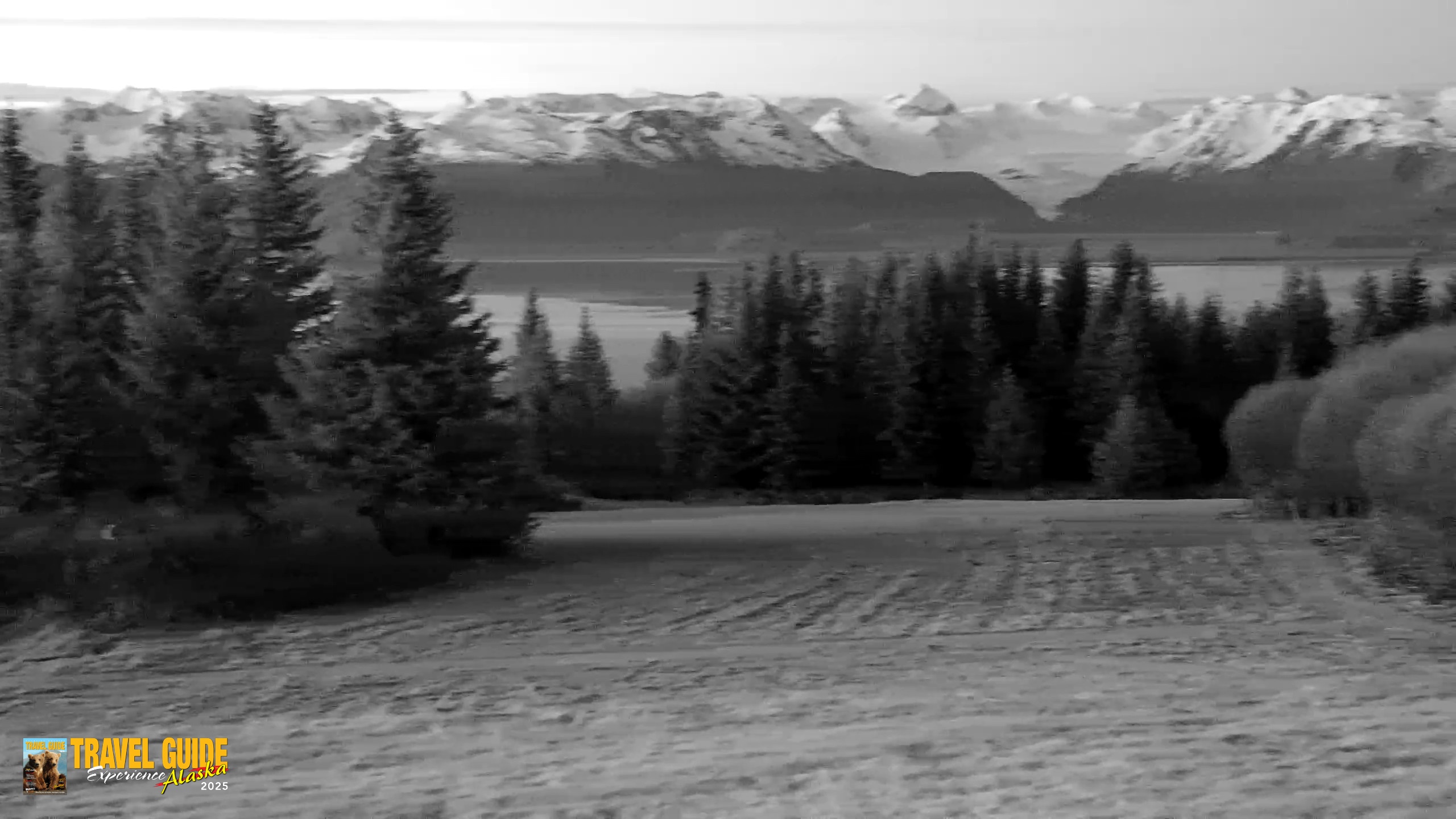 Snapshot of Inspiration Ridge - Homer Alaska Live Webcam taken May 29, 2026, 3:55am AKDT