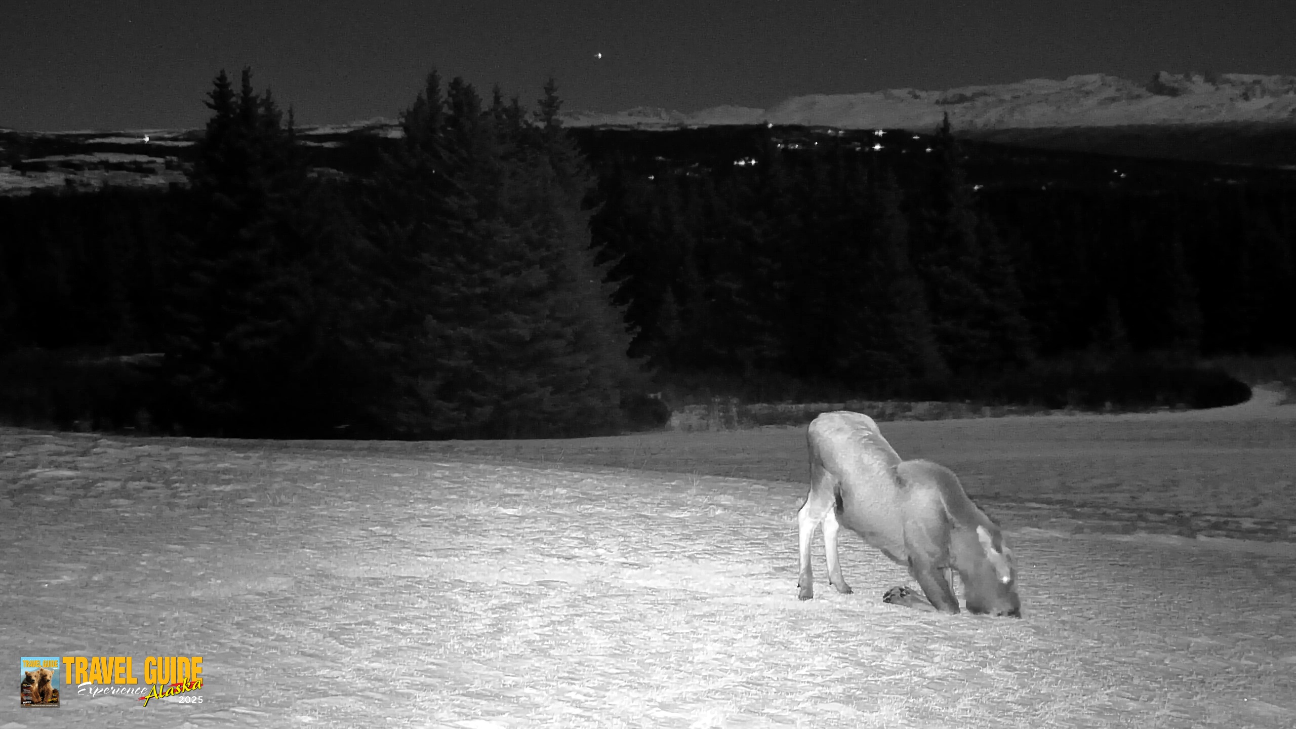 Snapshot of Inspiration Ridge - Homer Alaska Live Webcam taken Jan 3, 2026, 12:40am AKST