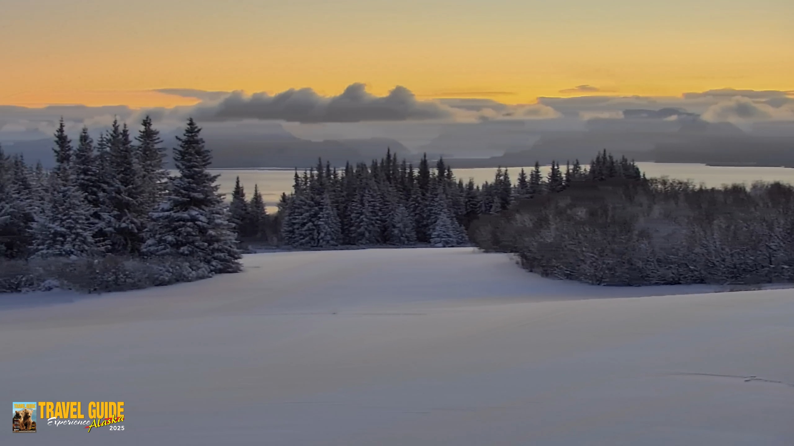 Snapshot of Inspiration Ridge - Homer Alaska Live Webcam taken Jan 7, 2026, 9:38am AKST